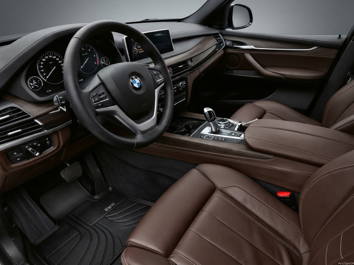 BMW X5 xDrive 30d Steptronic-image-6