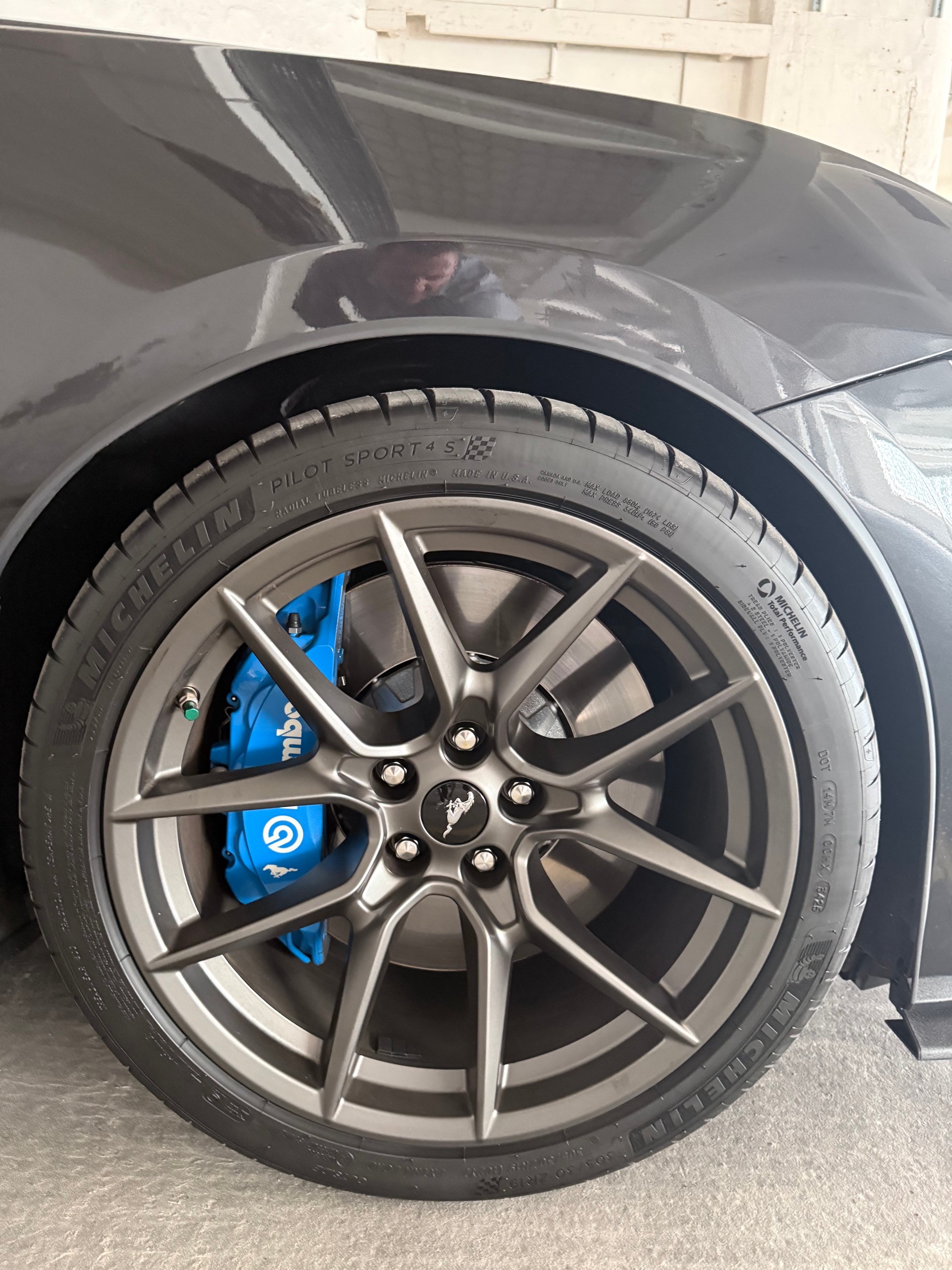 FORD 5.0 V8 Dark Horse-image-2
