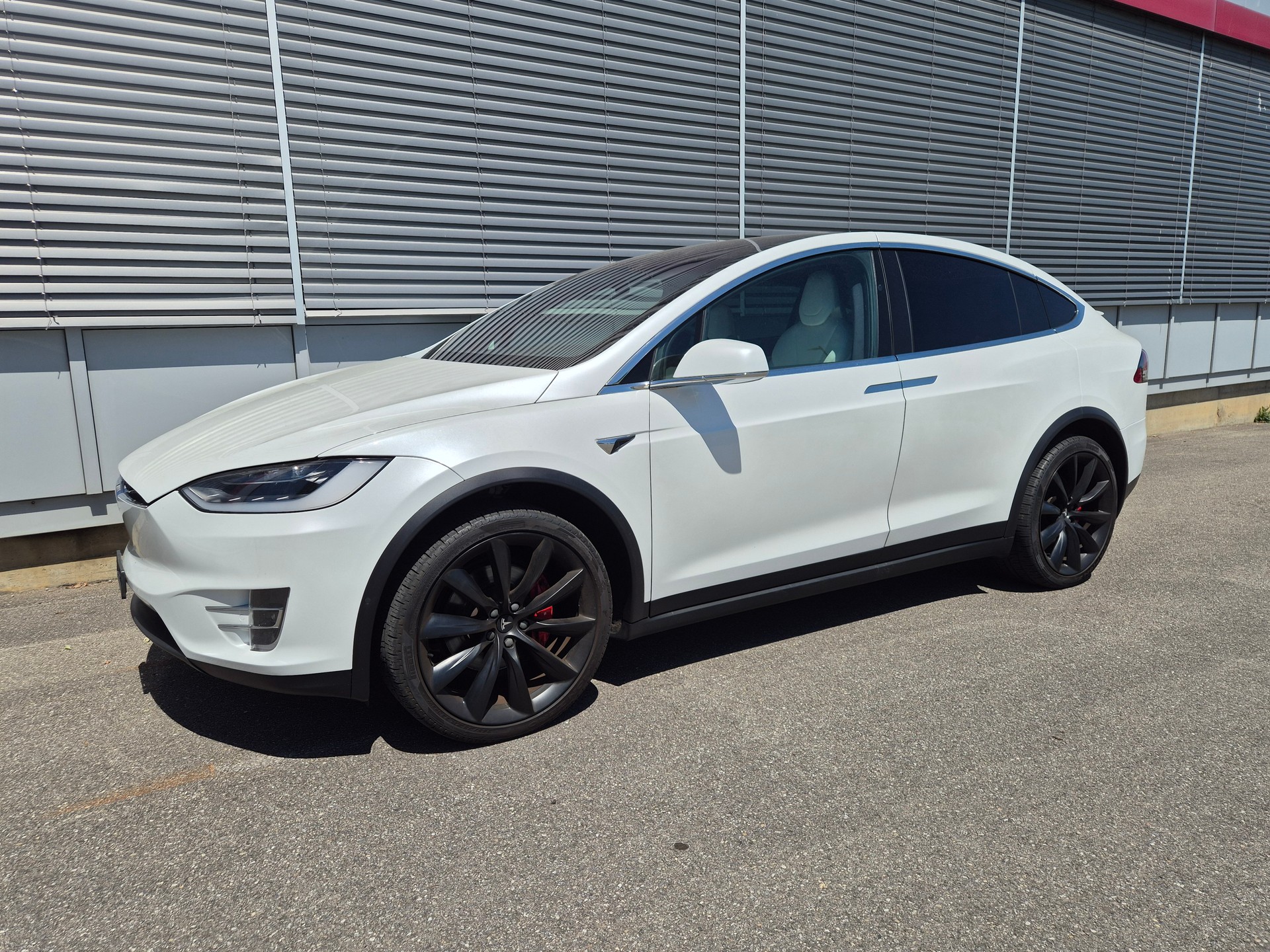 TESLA Model X 100 D Performance --image-6