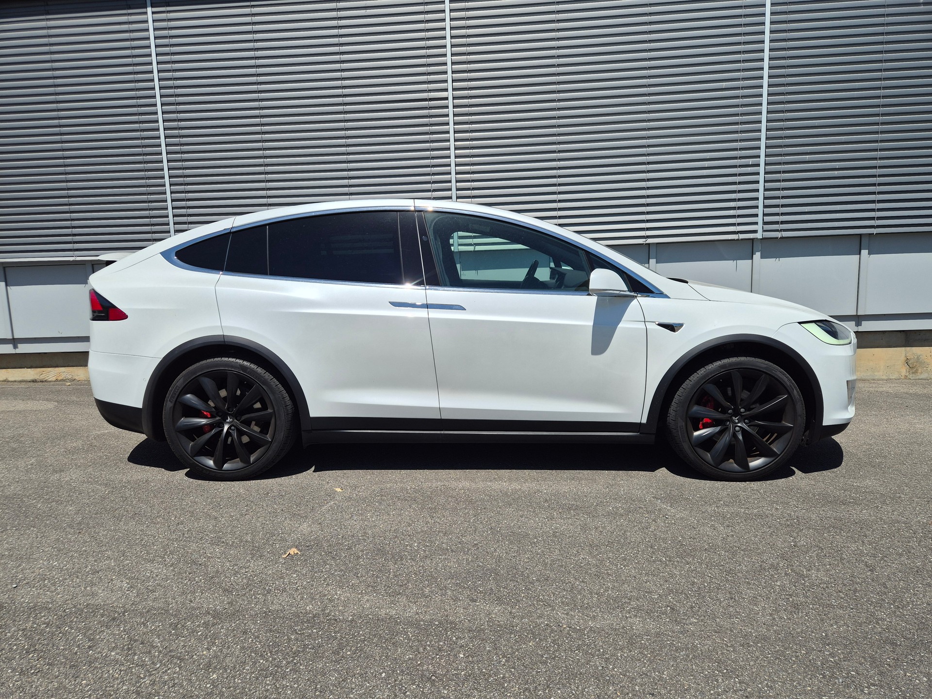 TESLA Model X 100 D Performance --image-1