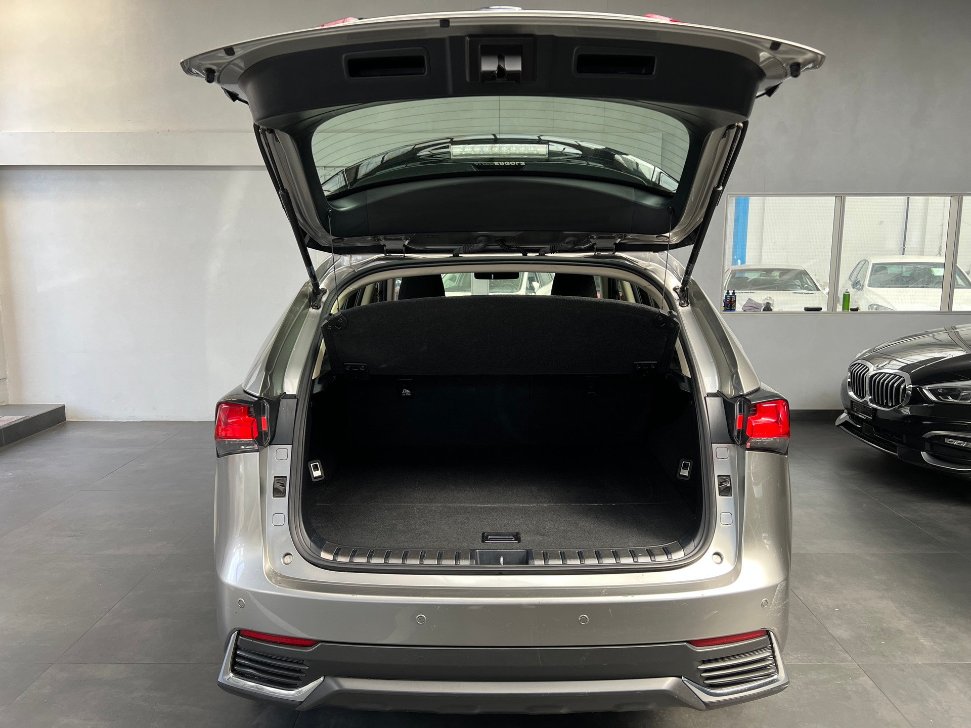LEXUS NX 300h Comfort Automatic-image-9