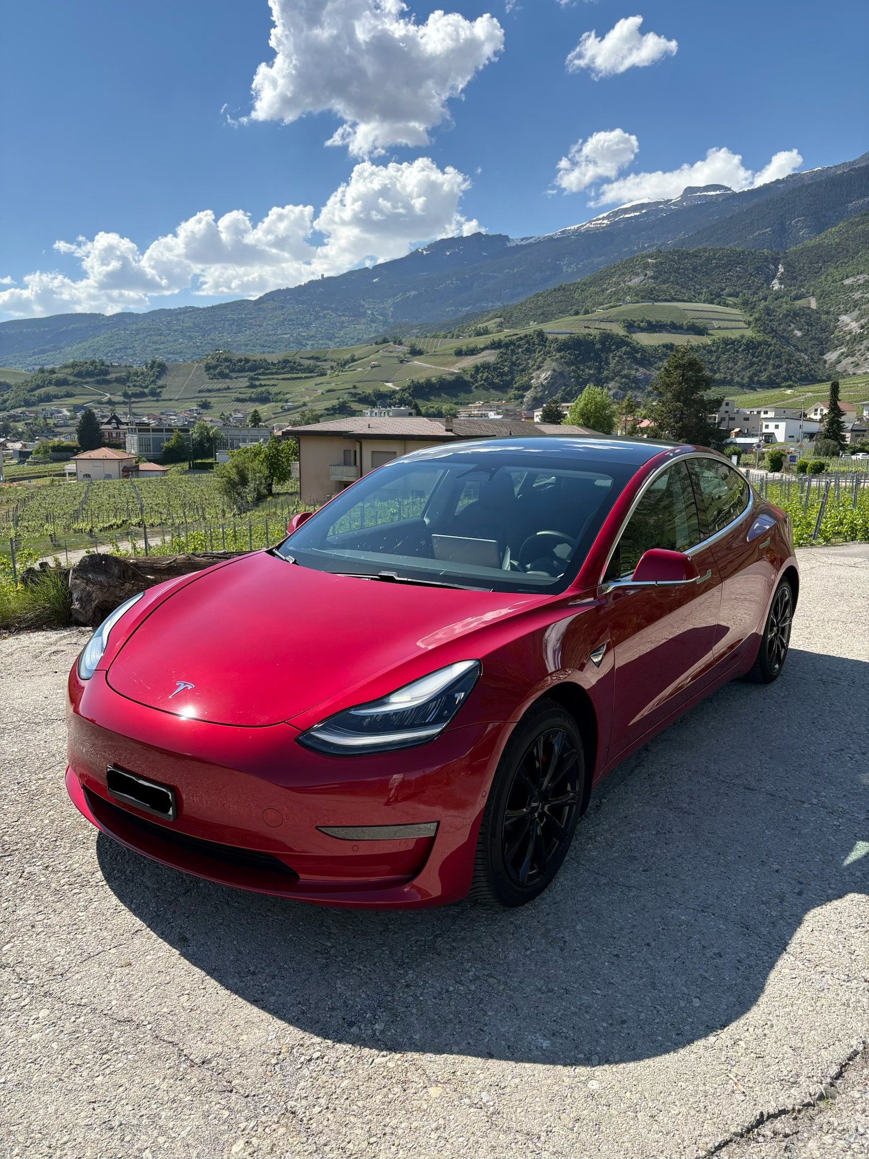 TESLA Model 3 Long Range AWD Performance