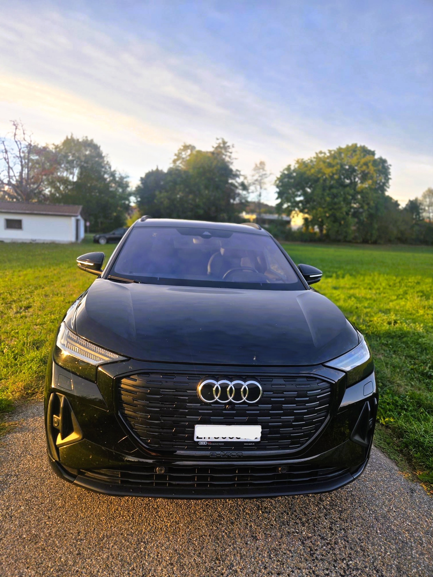 AUDI 50 quattro, S-Line-image-3