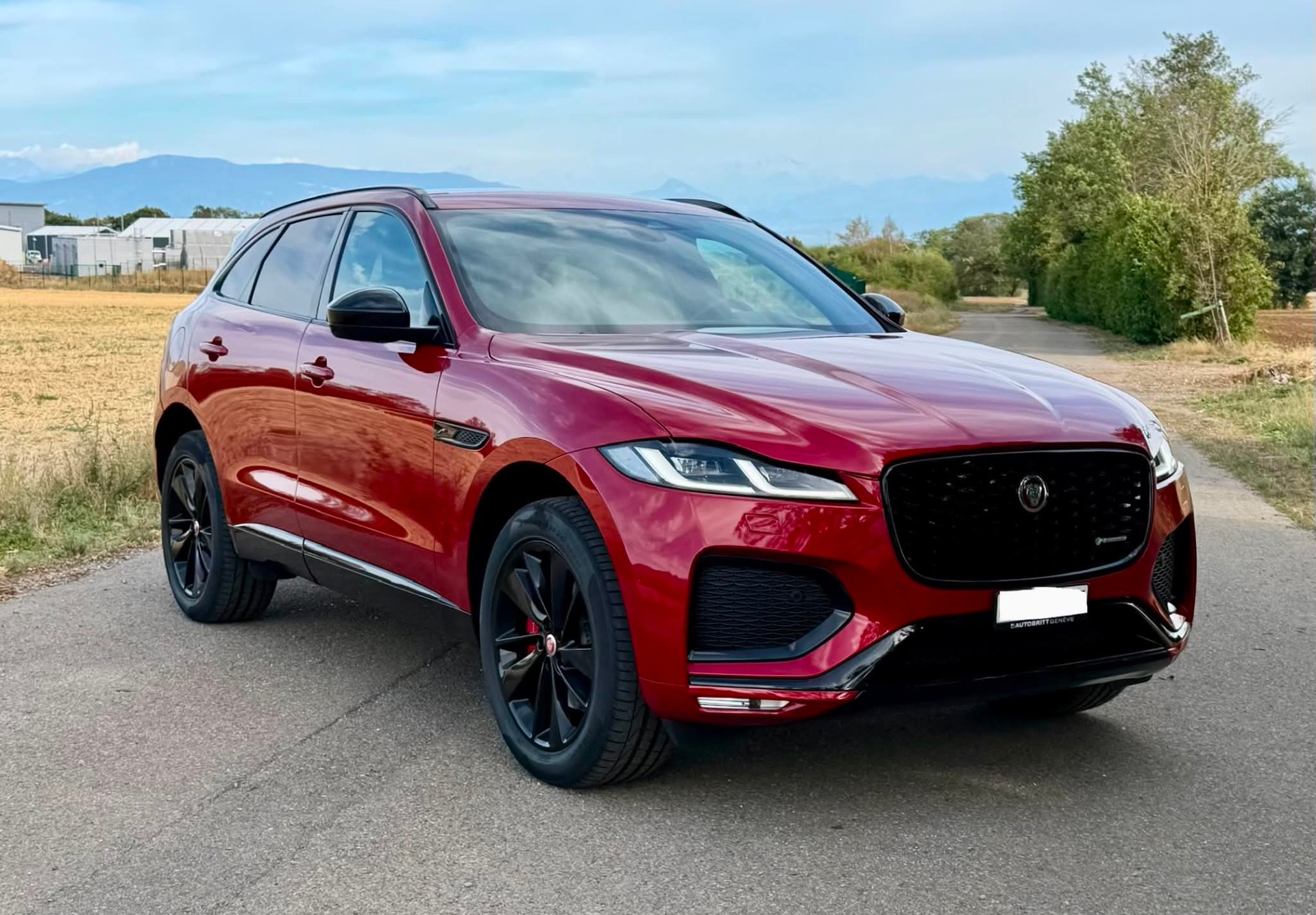 JAGUAR 2.0 I4 250 R-Dynamic Black AWD-image-0
