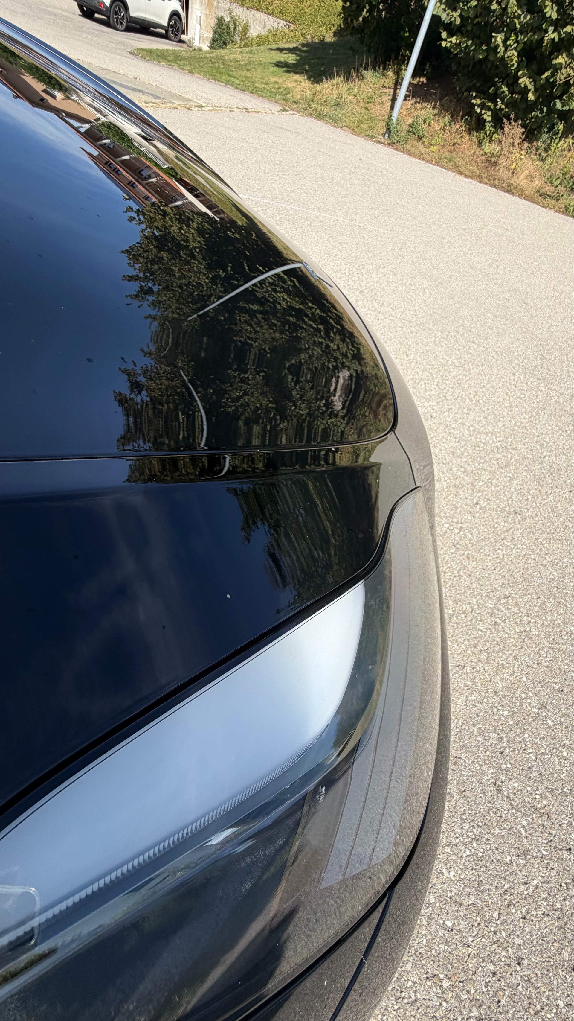 TESLA Performance D-image-14