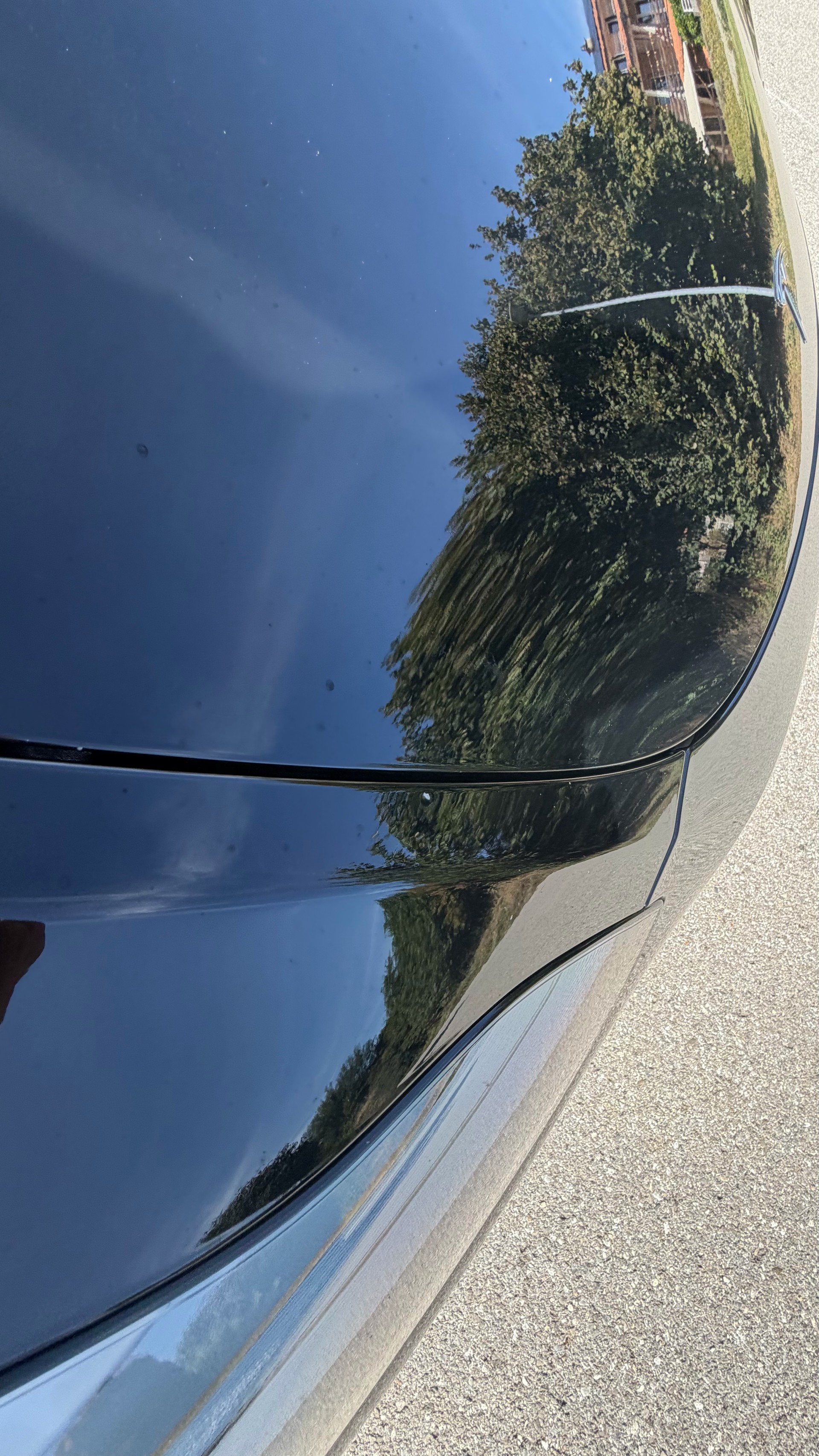 TESLA Performance D-image-15
