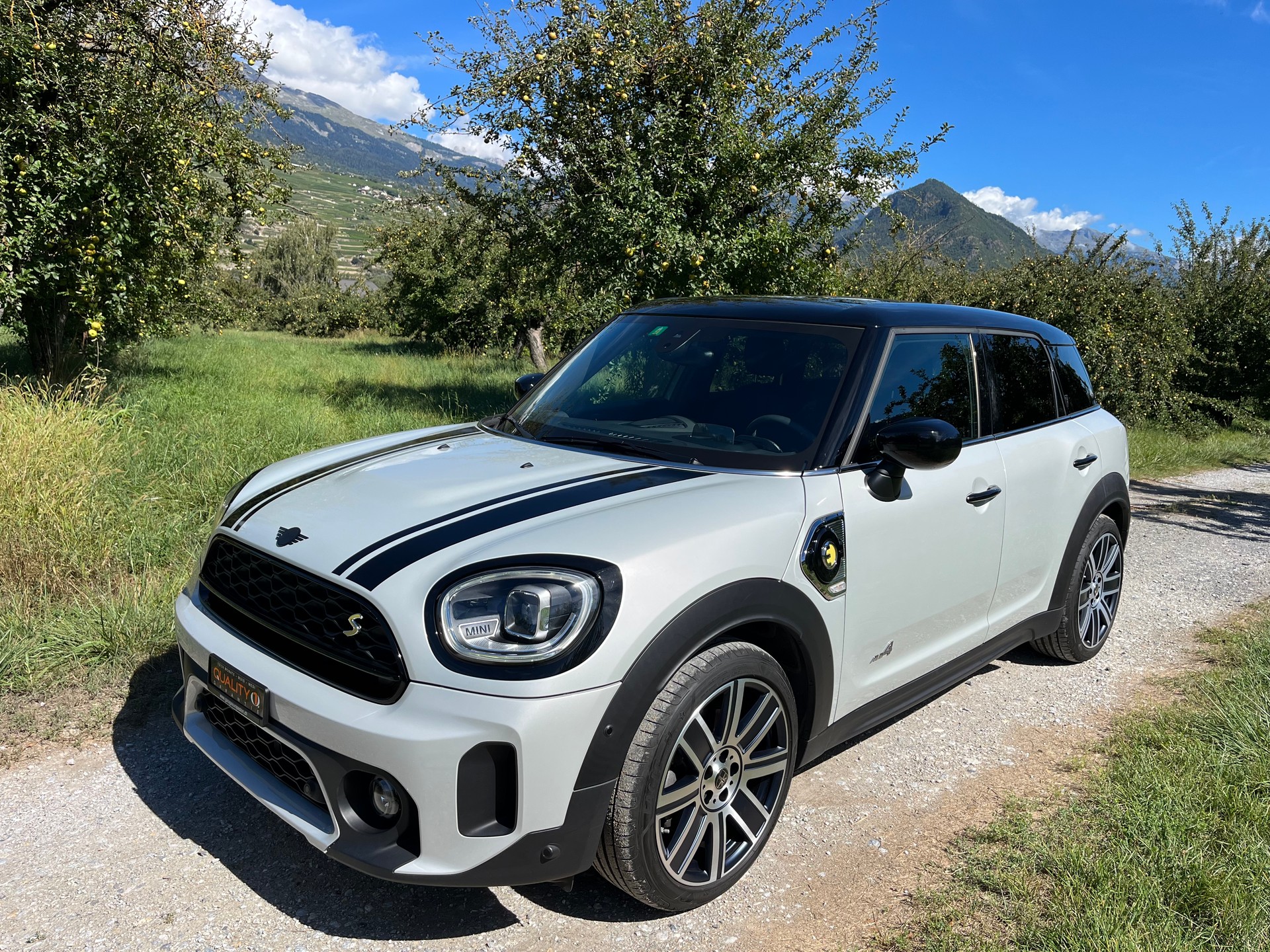 MINI Mini Countryman Cooper SE Trafalgar ALL4 PHEV Steptronic-image-0