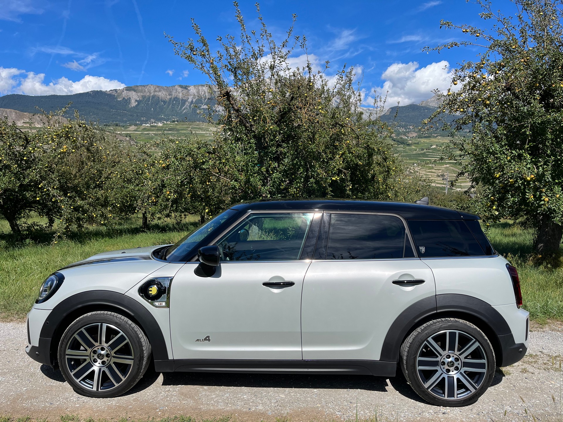 MINI Mini Countryman Cooper SE Trafalgar ALL4 PHEV Steptronic-image-9