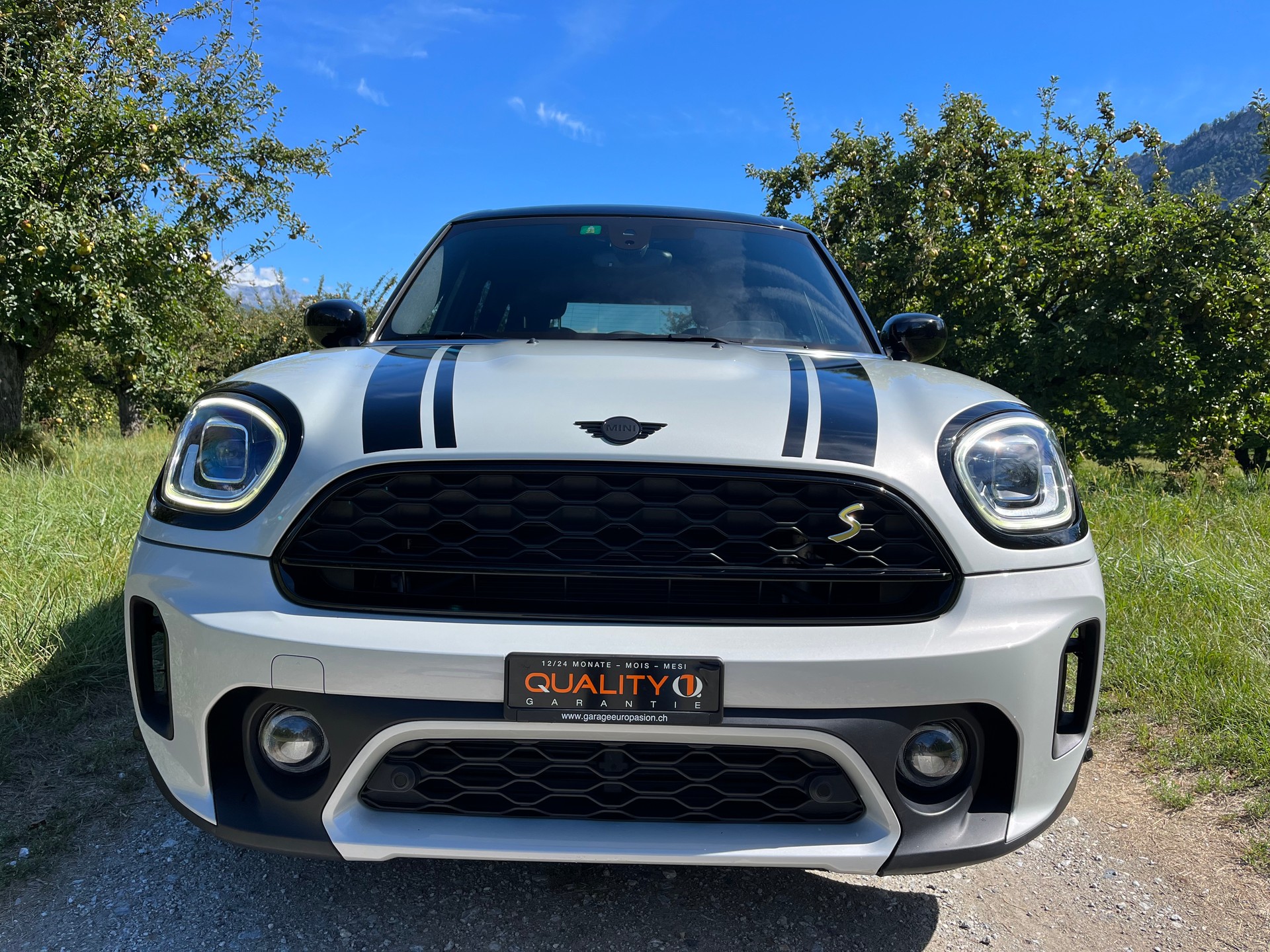 MINI Mini Countryman Cooper SE Trafalgar ALL4 PHEV Steptronic-image-2
