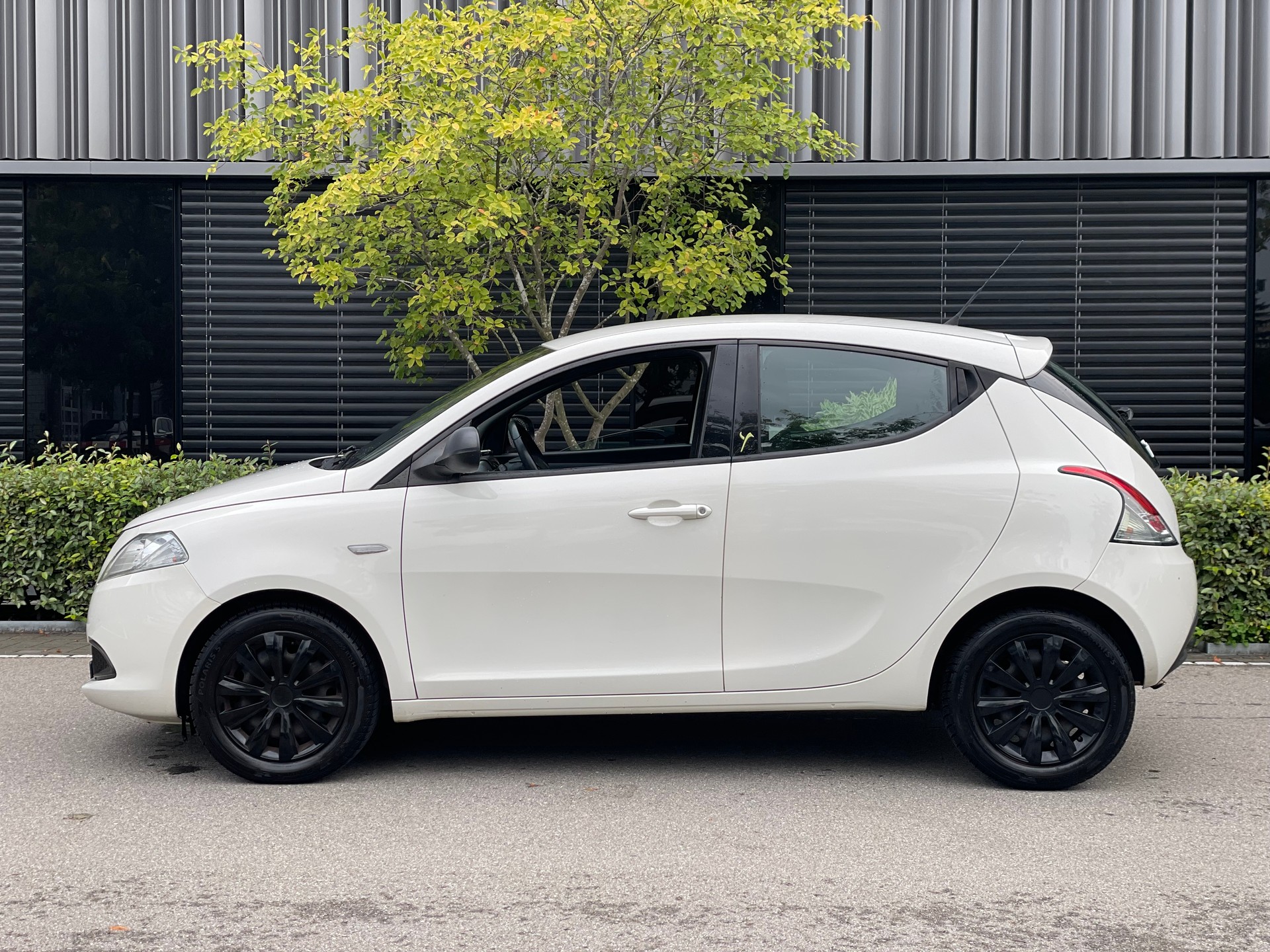 LANCIA Ypsilon 0.9 TwinAir Elefantino-image-1