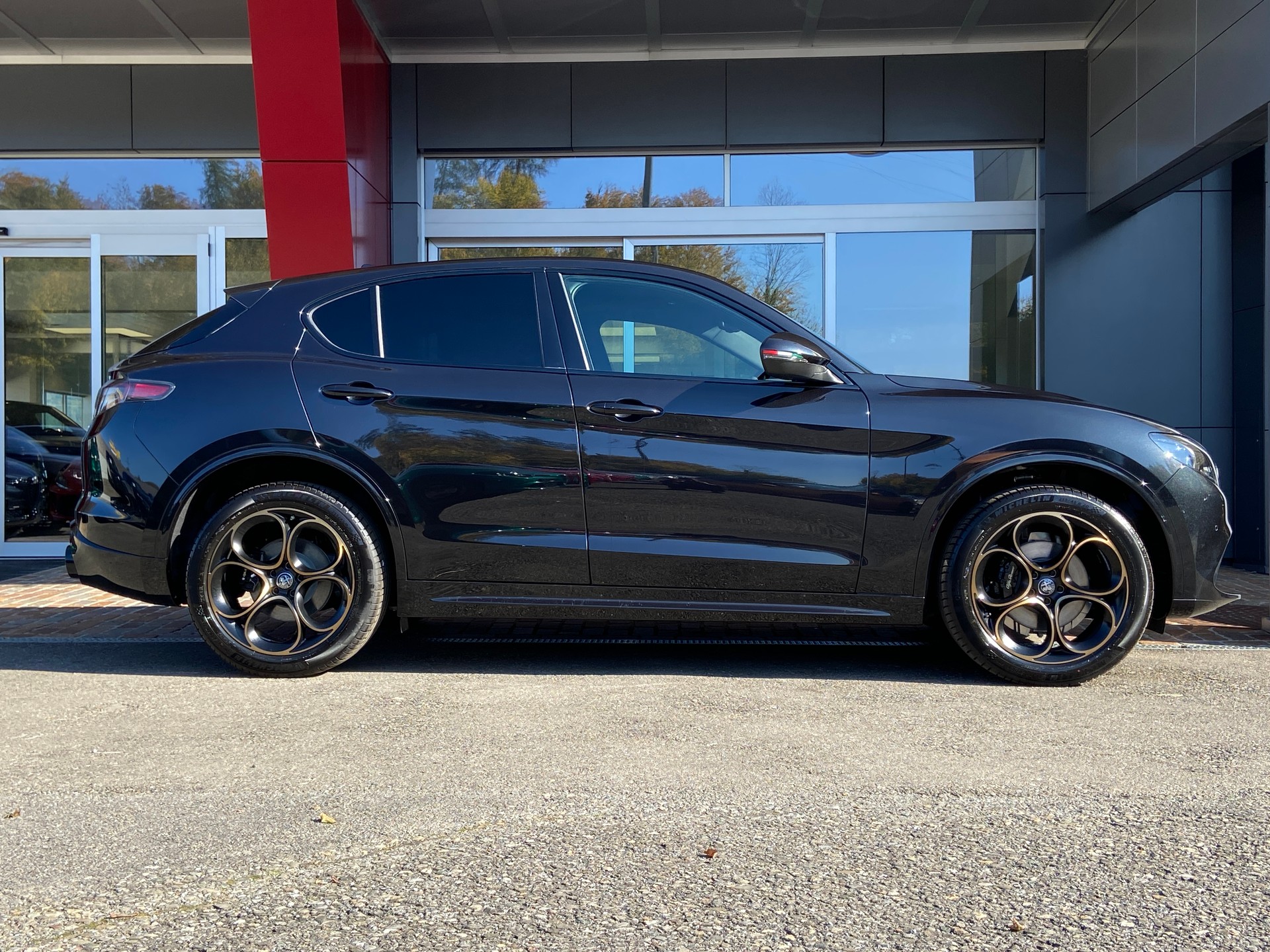 ALFA ROMEO Stelvio 2.0 Intensa Sky Q4 AT8-image-13
