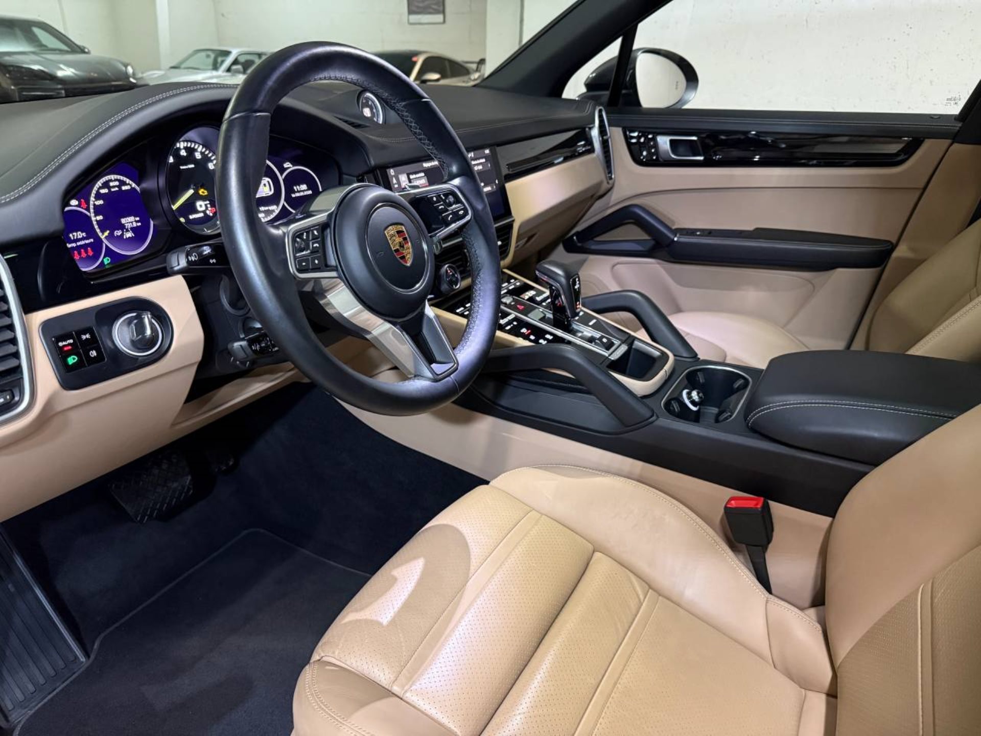 PORSCHE Cayenne E-Hybrid (MY21)-image-3