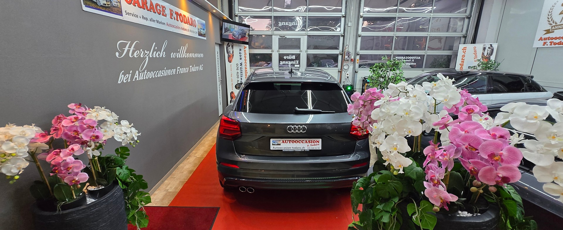 AUDI Q2 35 TFSI Sport S-Line S-tronic-showroom-element-2
