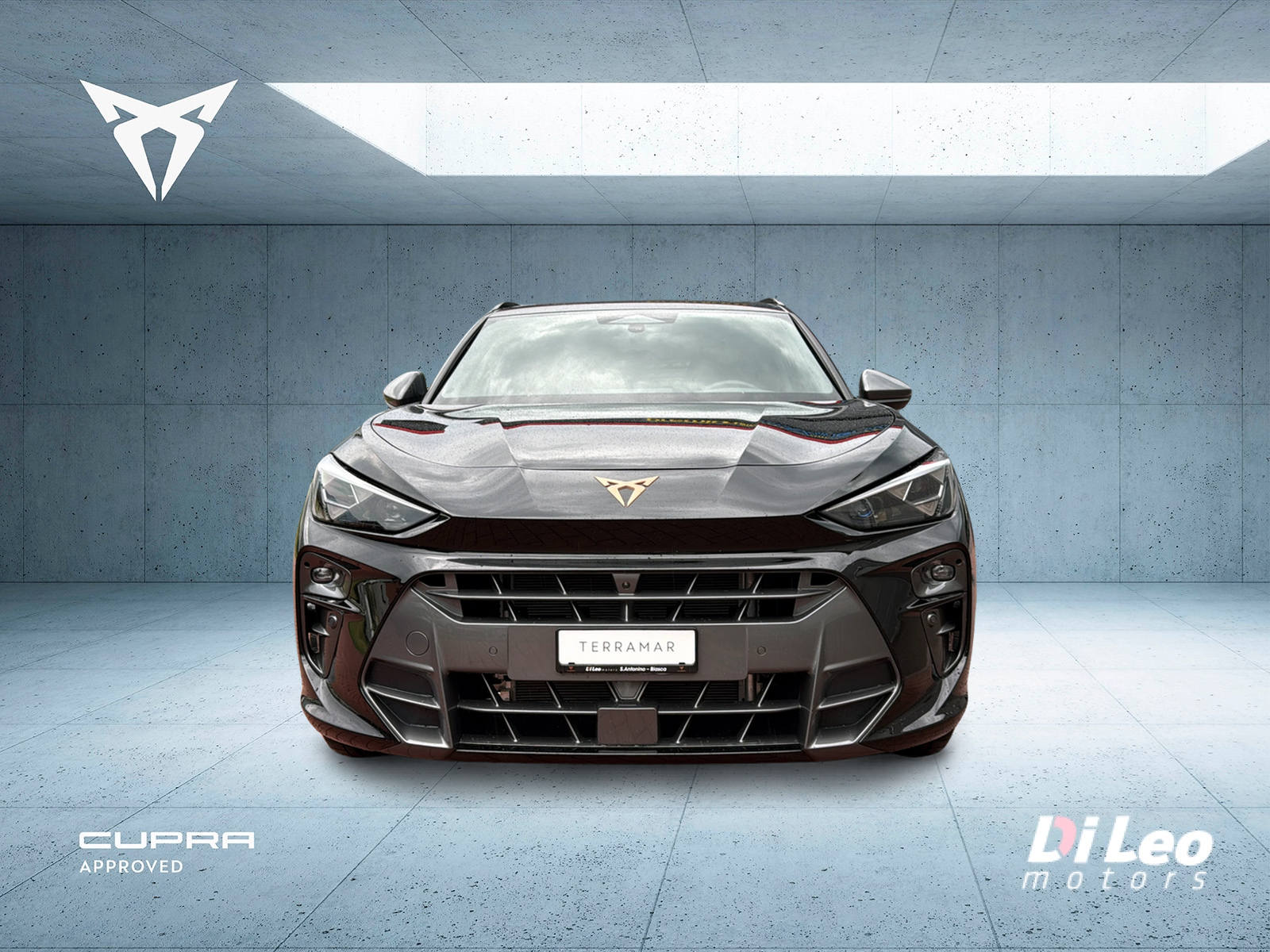 CUPRA Terramar 1.5 eHybrid DSG VZ-image-1