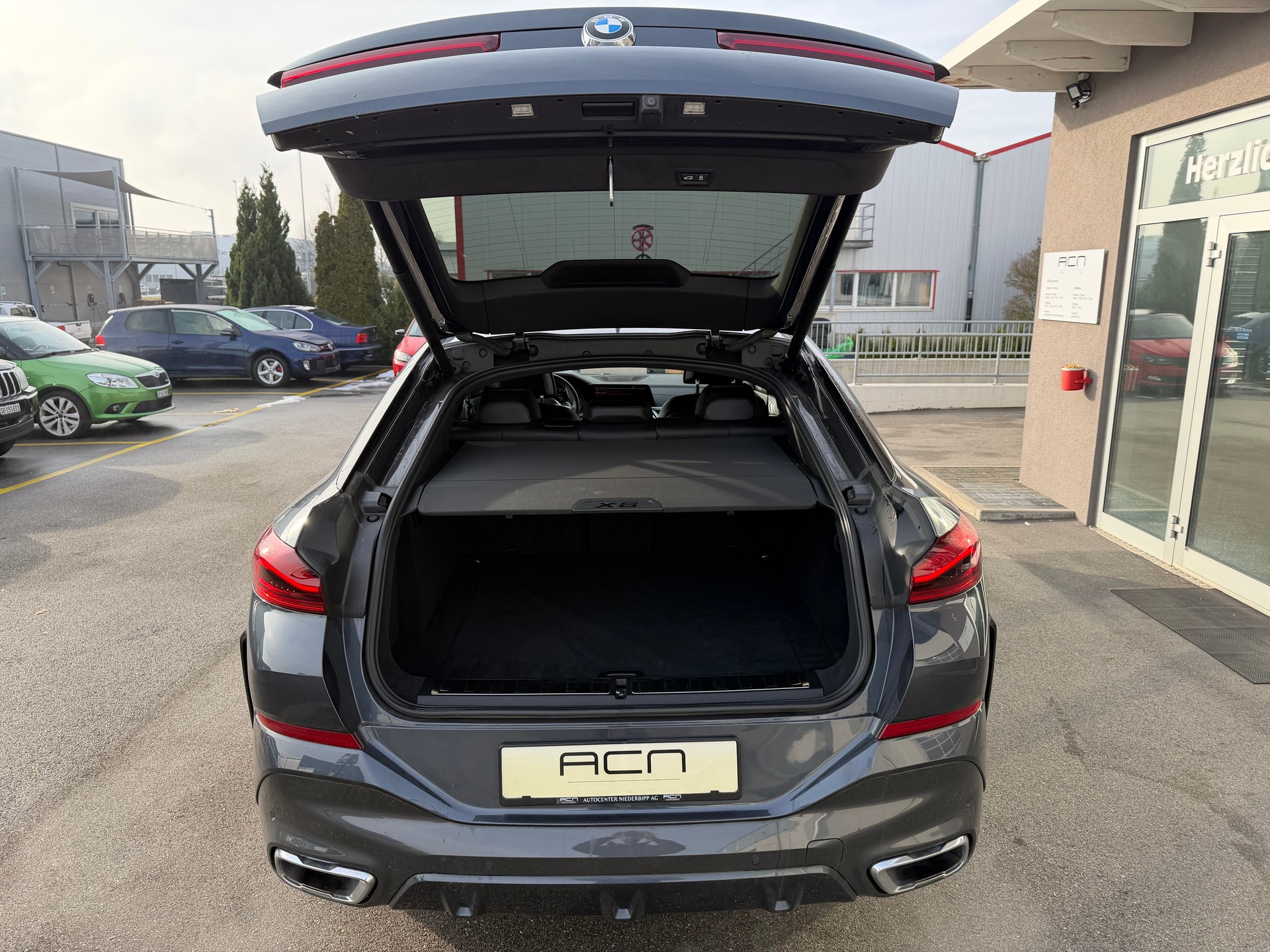 BMW X6 xDrive 30d Steptronic-image-7