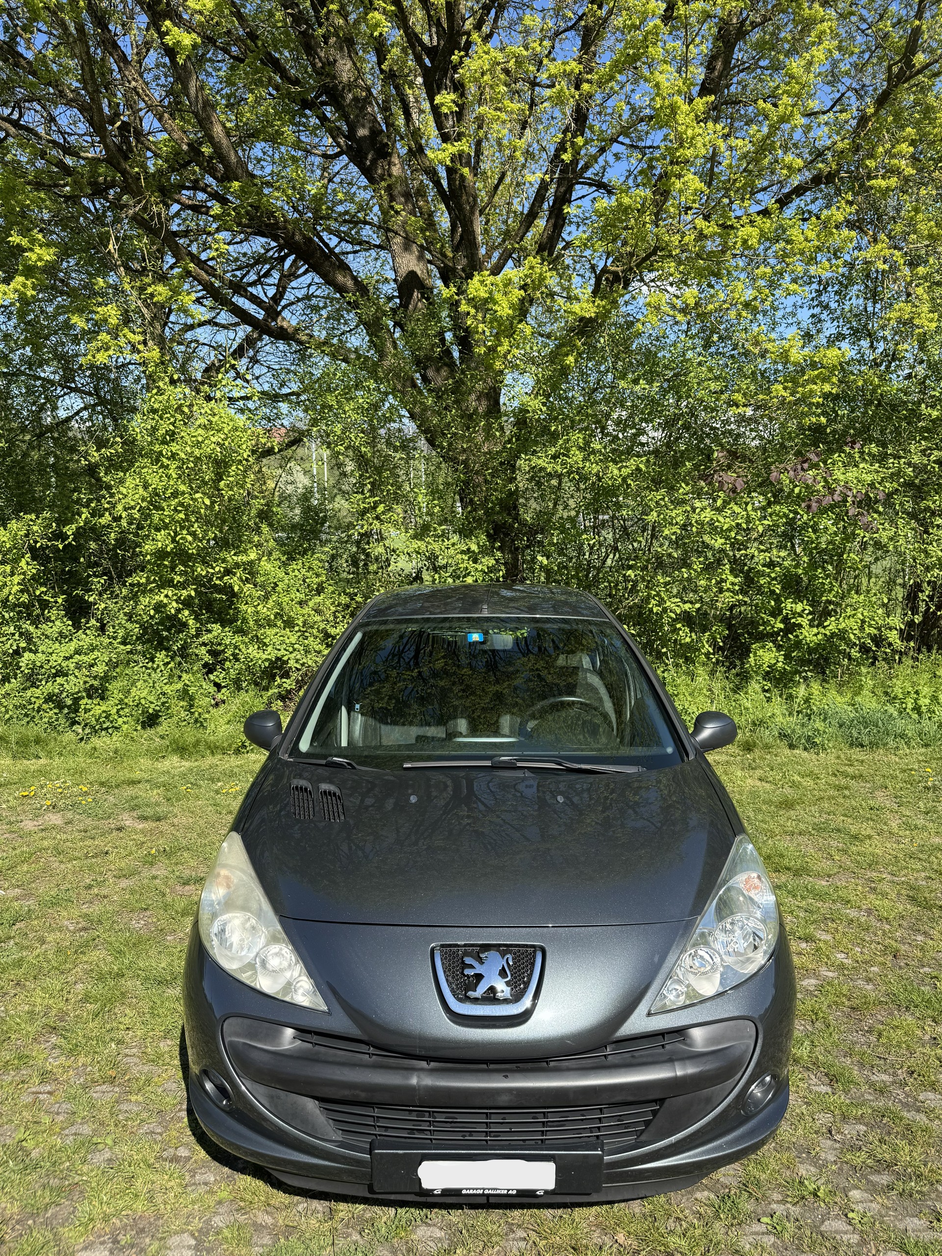 PEUGEOT 1.4 Trendy-image-5