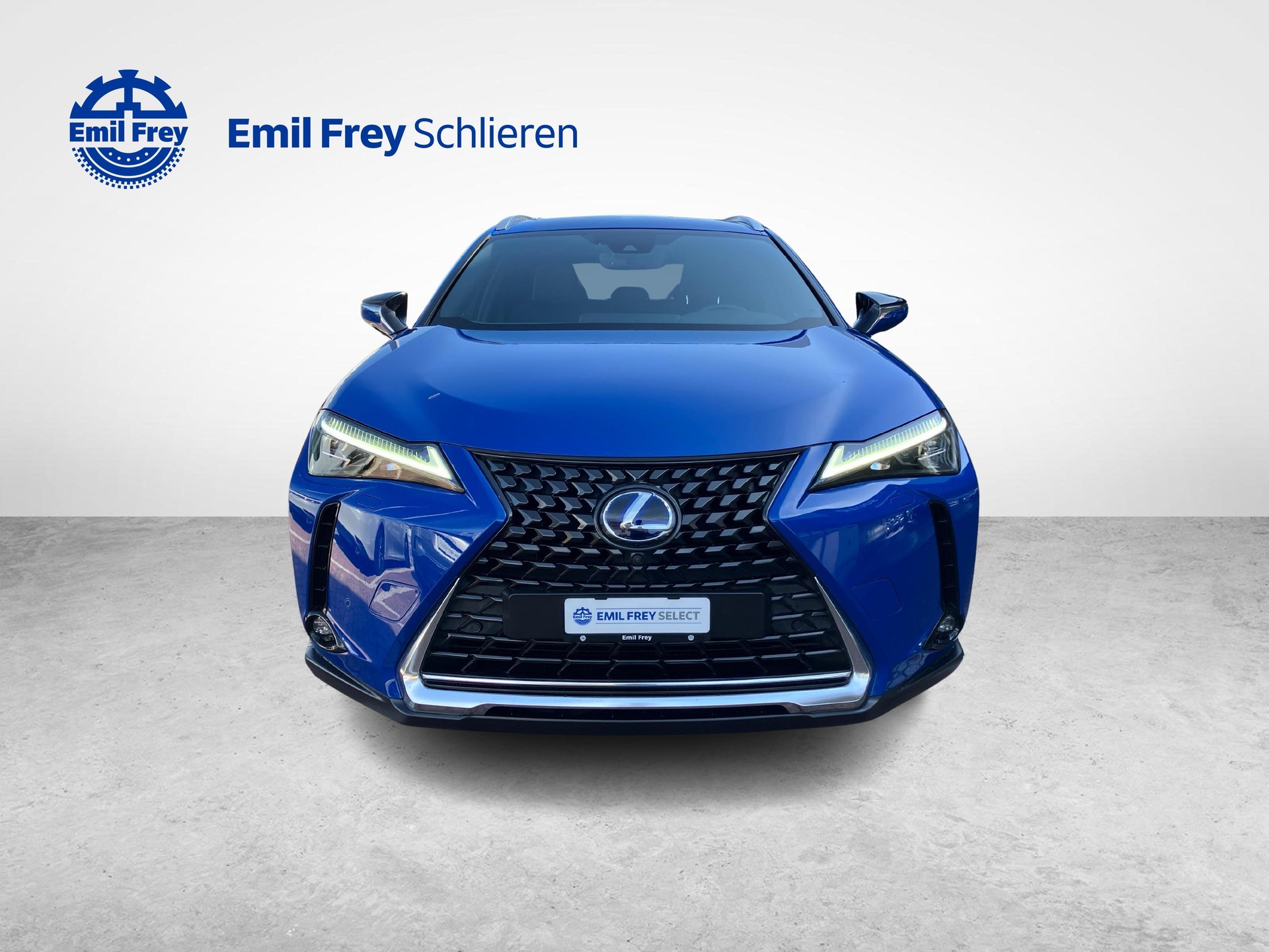 LEXUS UX 300e Excellence-image-7