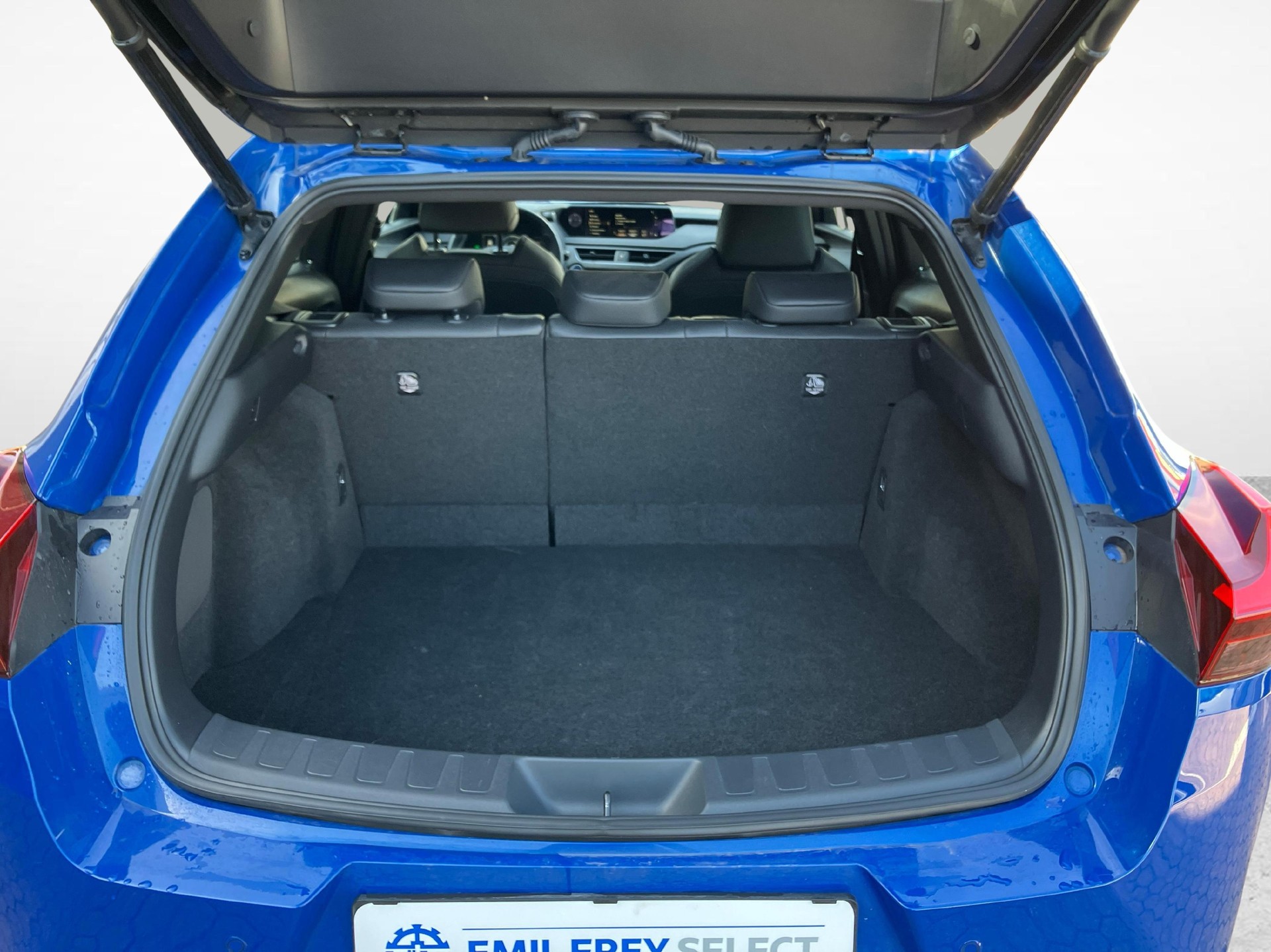 LEXUS UX 300e Excellence-image-11