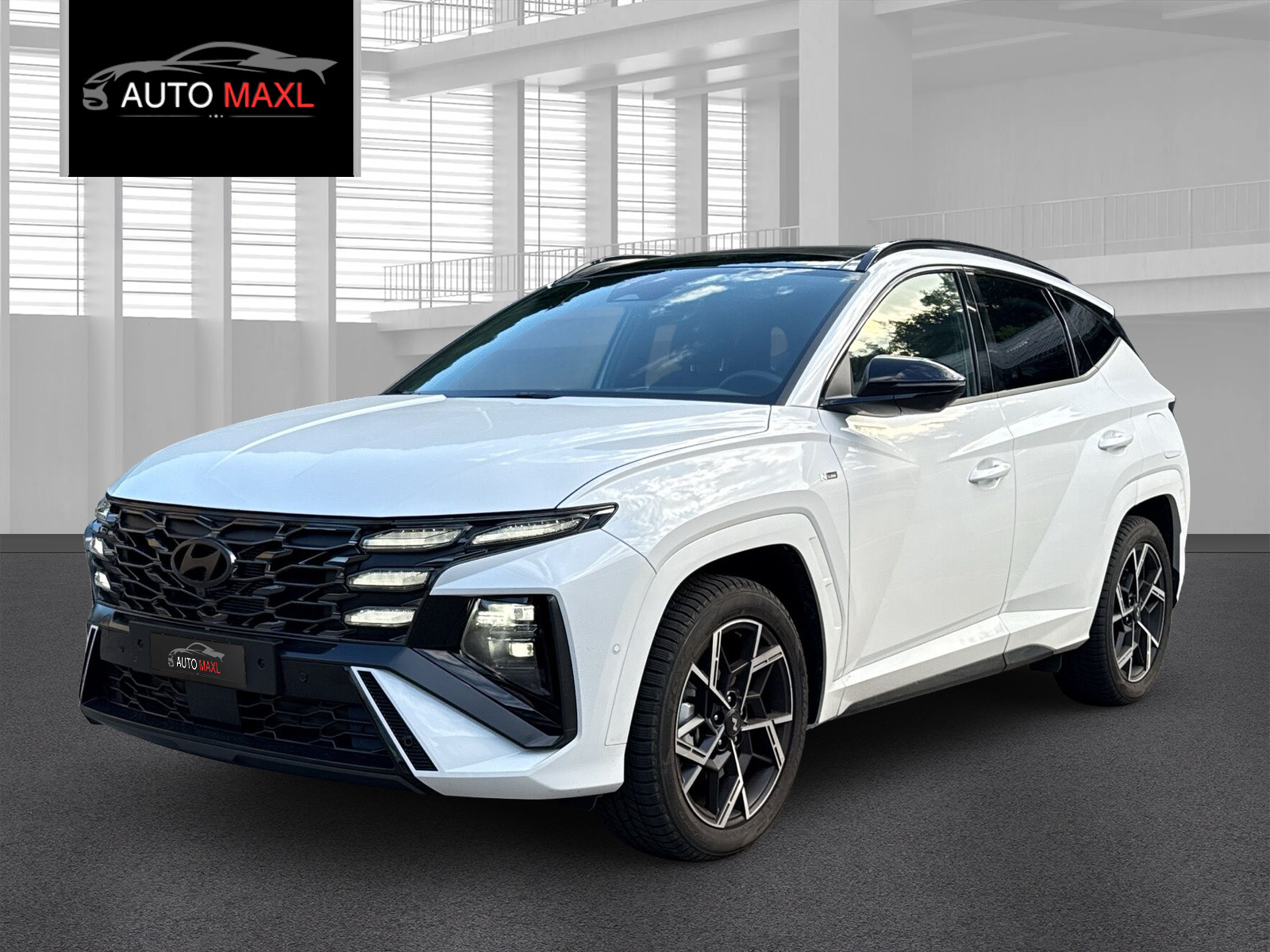HYUNDAI Tucson 1.6 TGDI PHEV N Line LUX pack 4WD-image-1