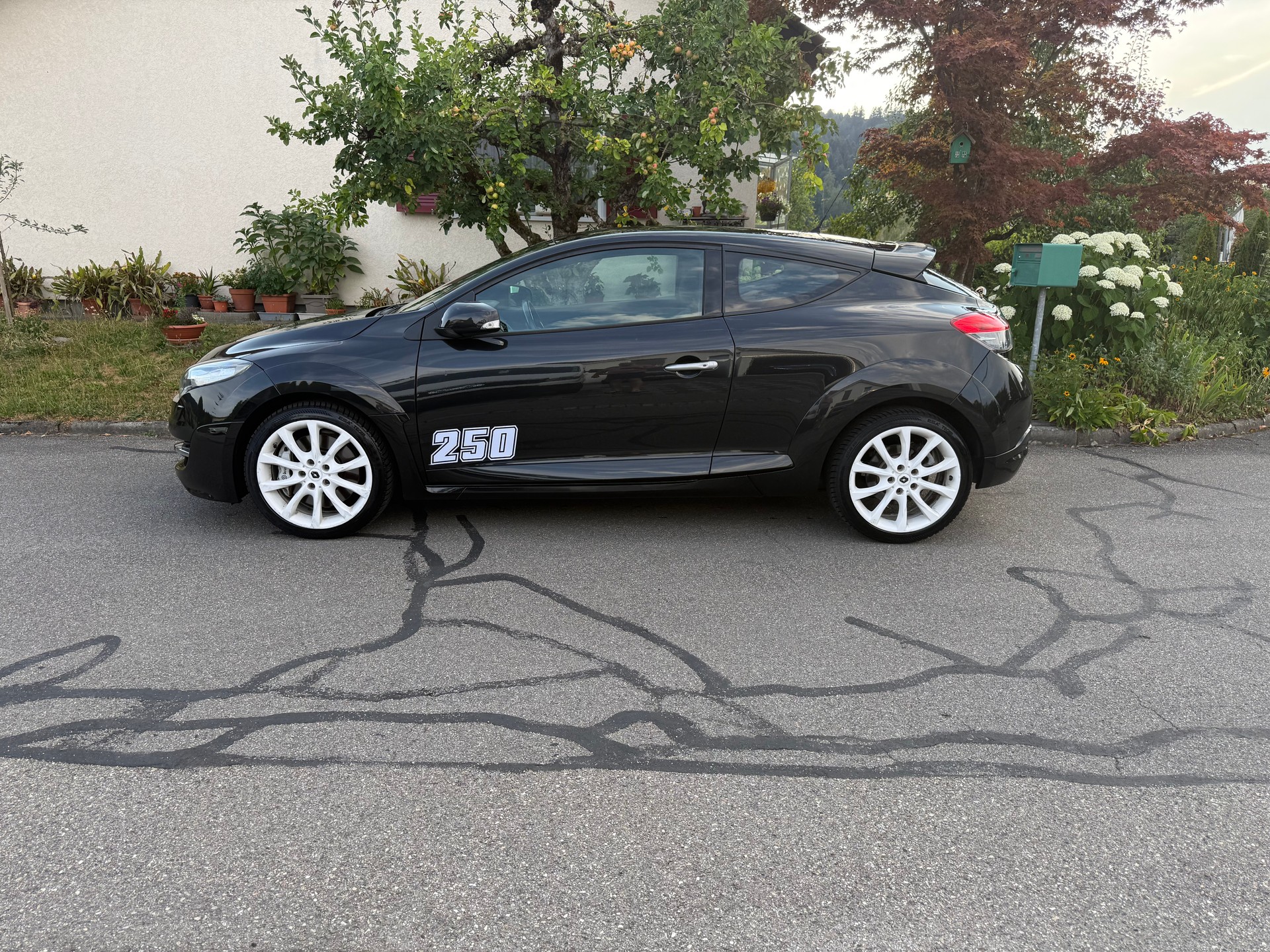 RENAULT Mégane Coupé 2.0 16V Turbo RS-image-2