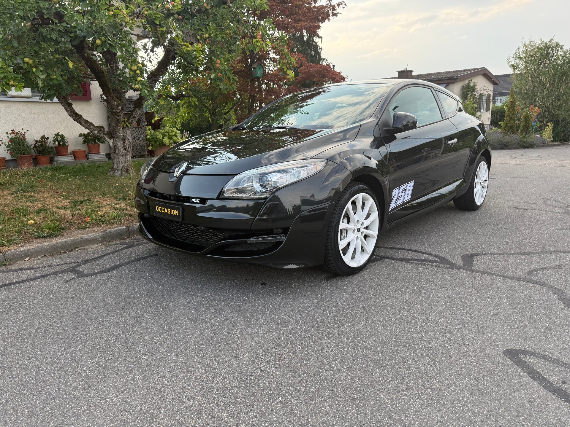 RENAULT Mégane Coupé 2.0 16V Turbo RS-image-0