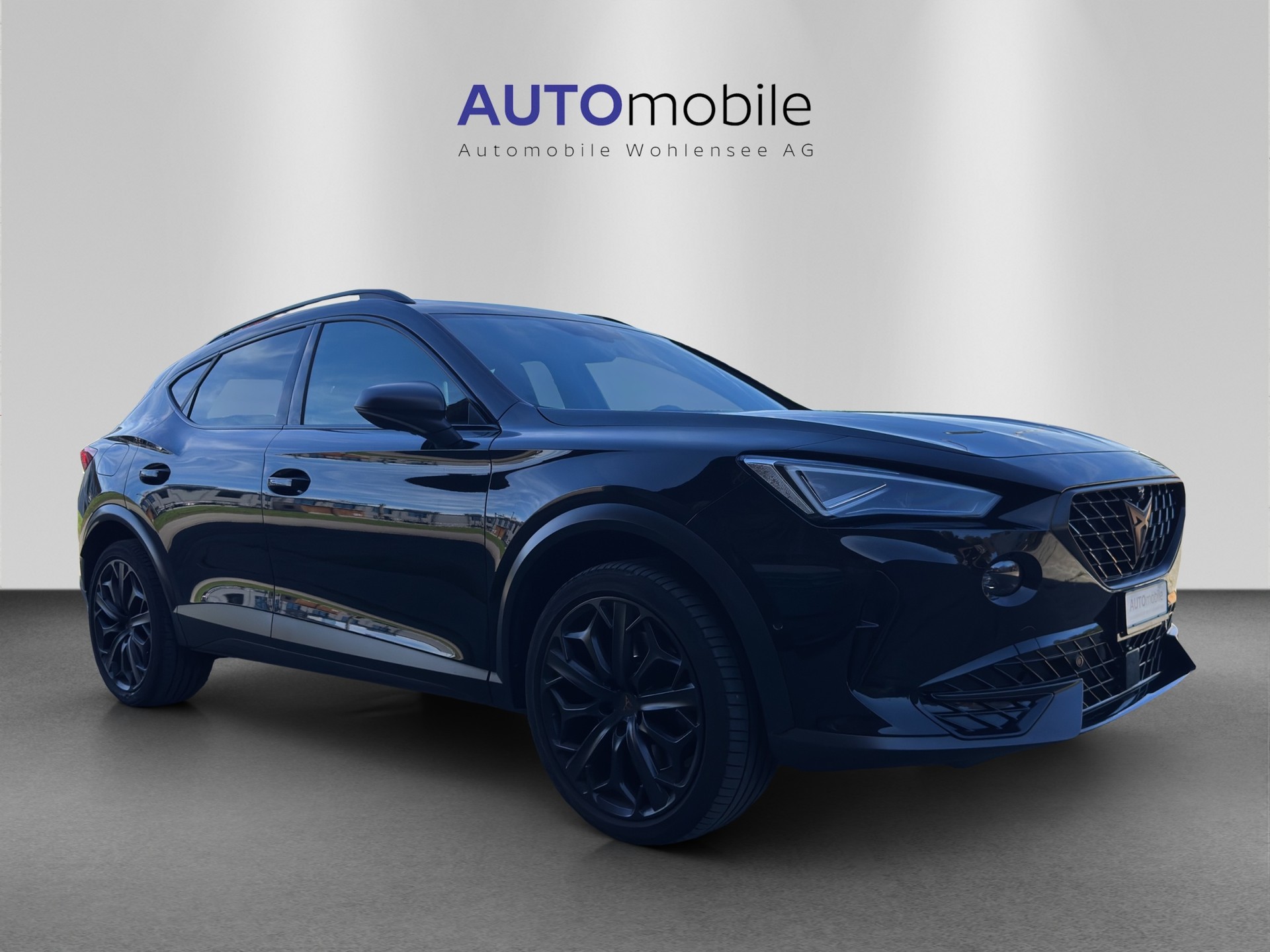CUPRA Formentor 2.0TSI Tribe Edition DSG-image-3