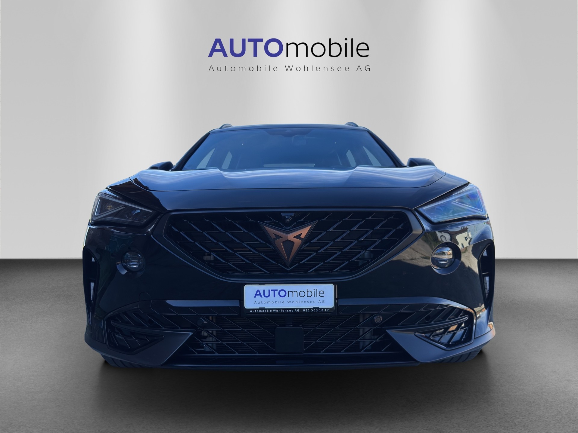 CUPRA Formentor 2.0TSI Tribe Edition DSG-image-2