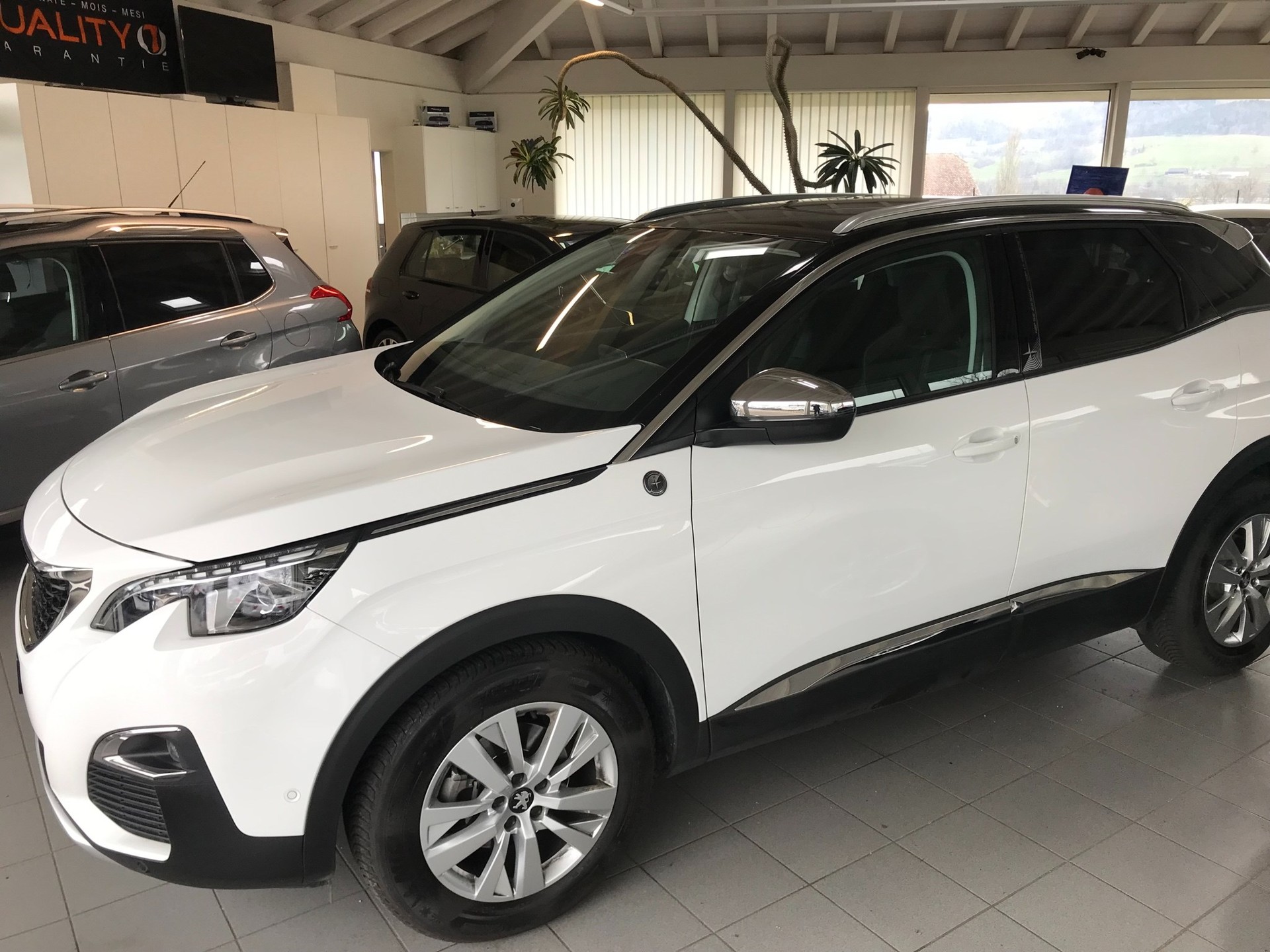 PEUGEOT 3008 1.6 THP Crossway EAT-image-3