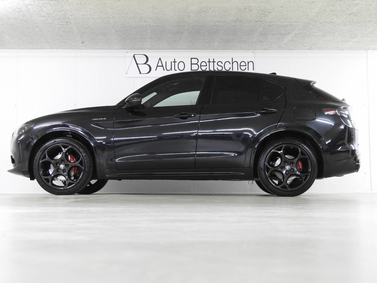 ALFA ROMEO Stelvio 2.0 Q4 280 Veloce-image-9