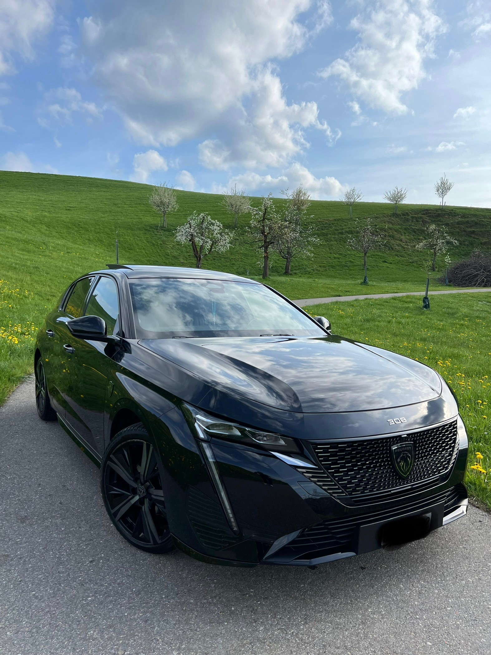 PEUGEOT Trotz Unfall, Fahrbereit: 308 1.2 PureTech GT Pack mit Sonderausstattung-image-0