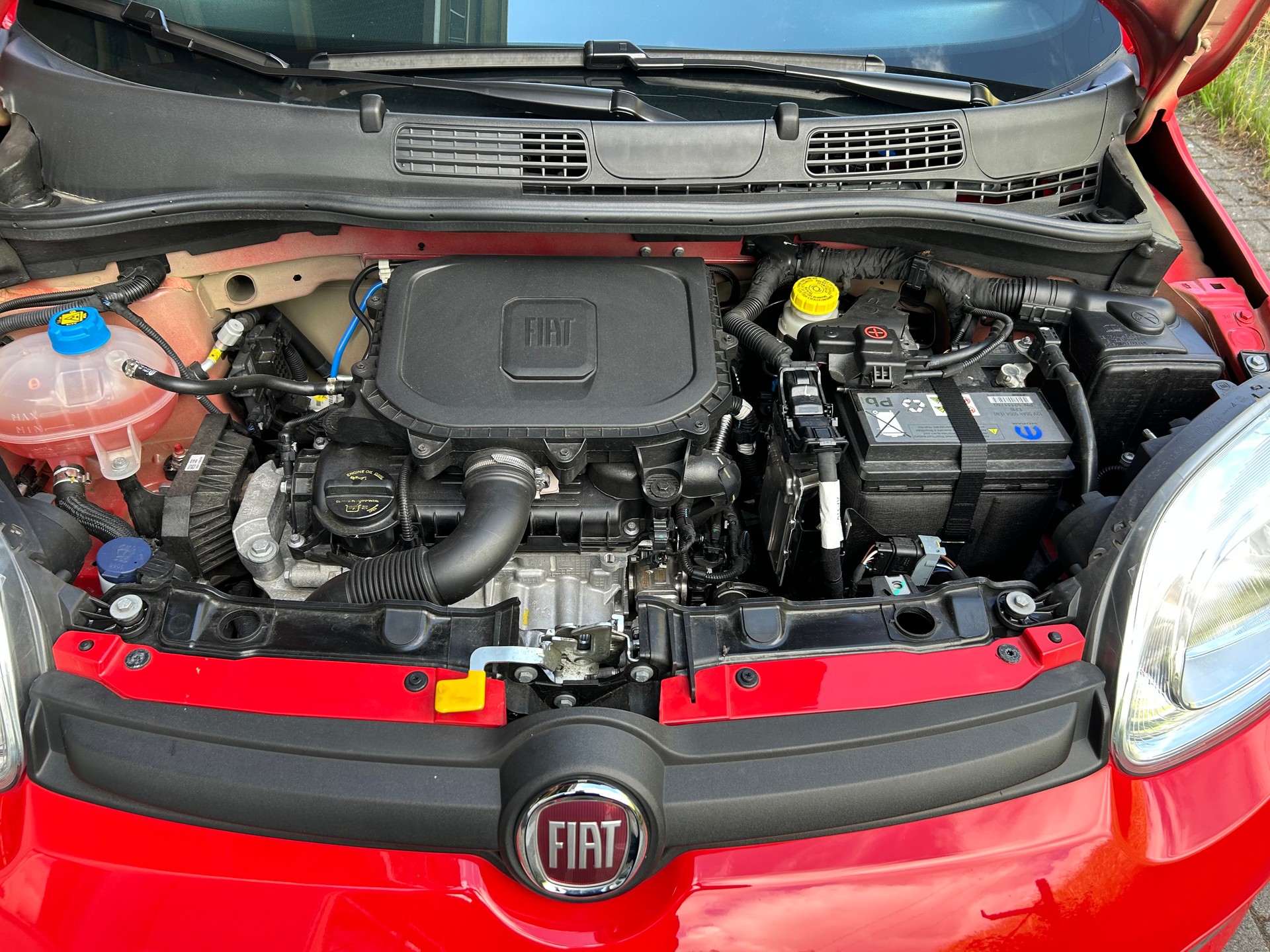 FIAT Panda 1.0 MHEV Sport-image-11
