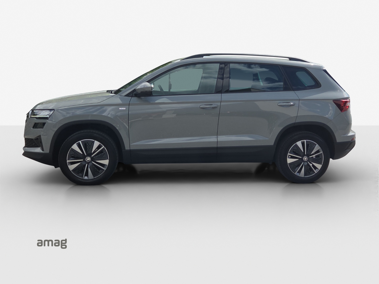 SKODA Karoq 1.0 TSI Ambition-image-1