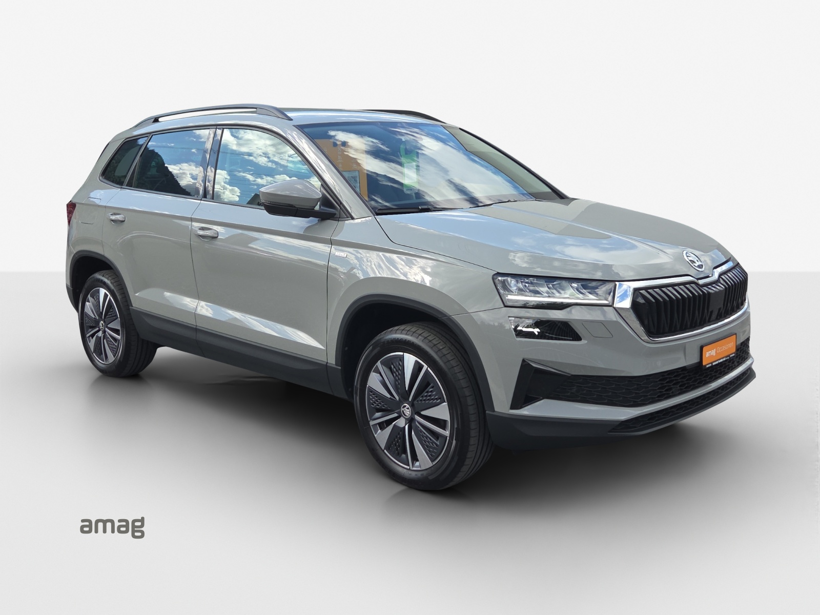 SKODA Karoq 1.0 TSI Ambition-image-5