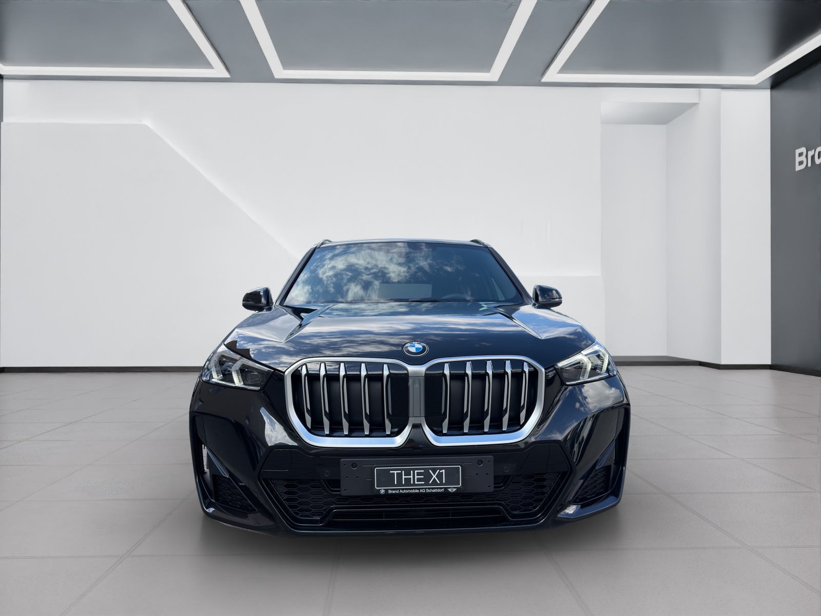 BMW X1 20d xDrive-image-7