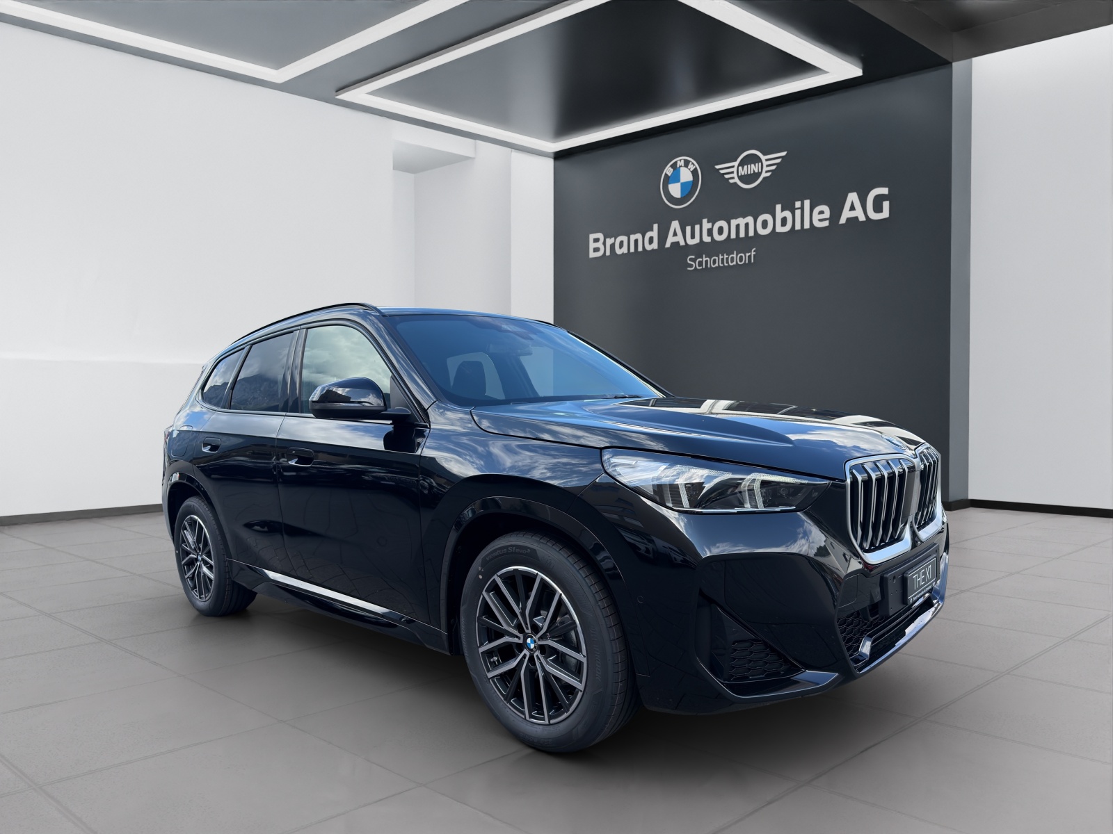 BMW X1 20d xDrive-image-6