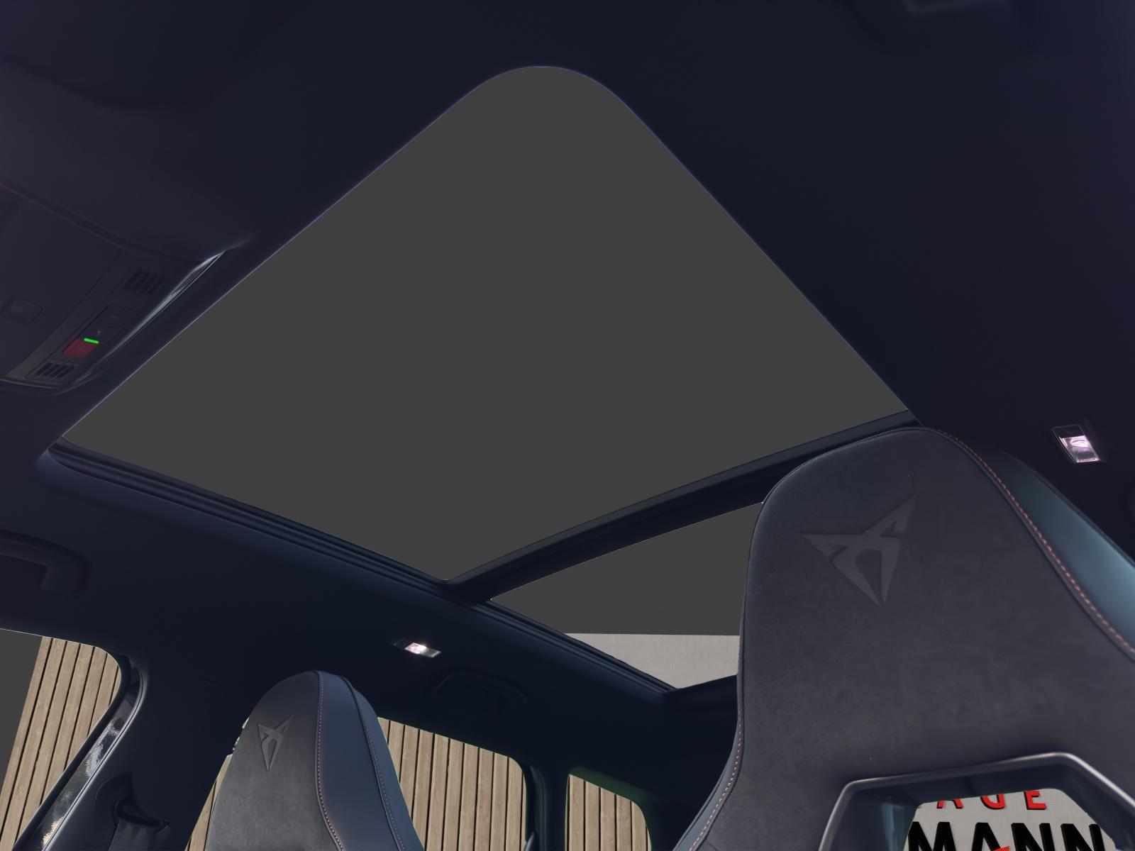 CUPRA Ateca 2.0 TSI 4x4-image-10