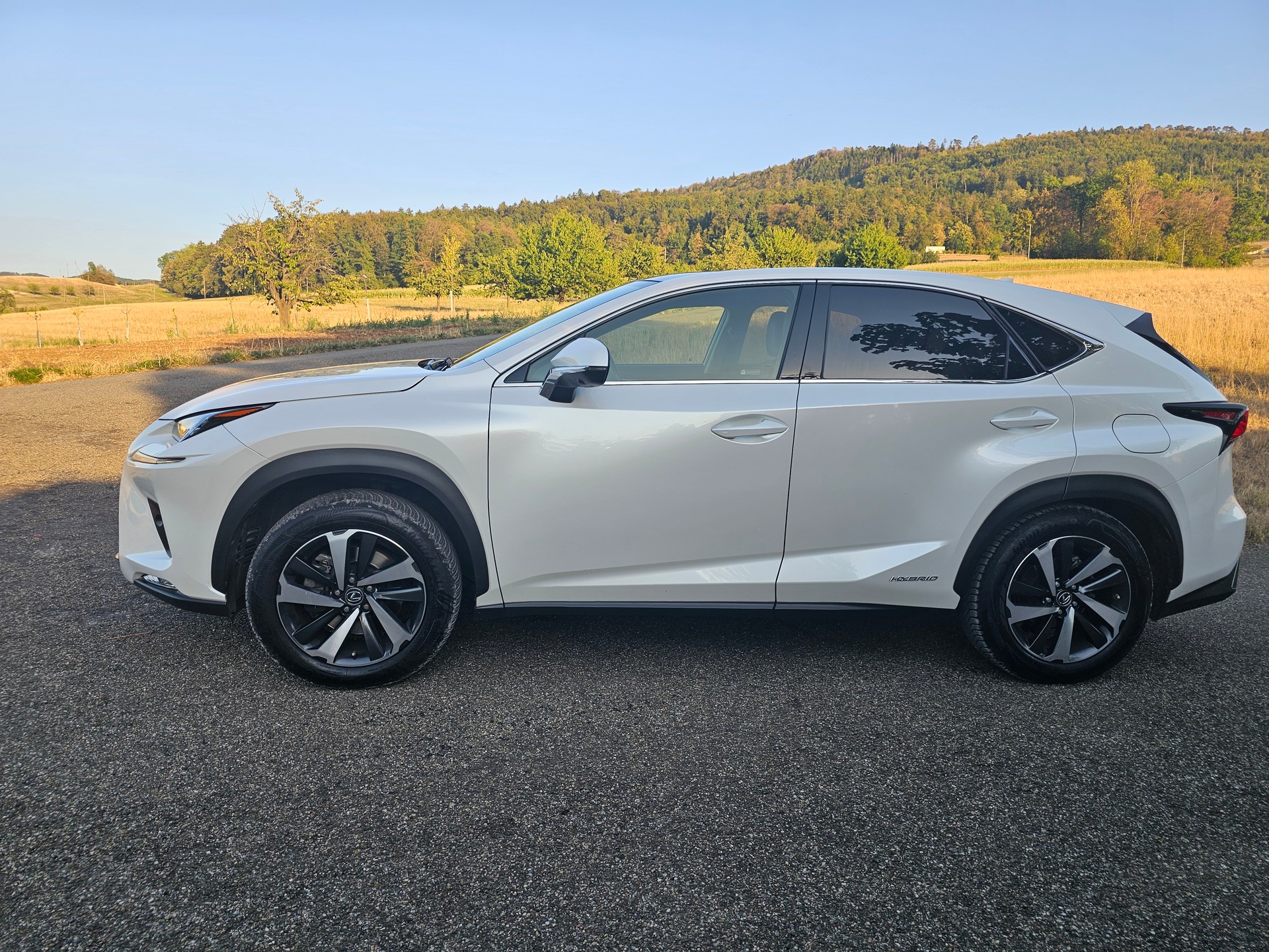 LEXUS 300h Excellence-image-2