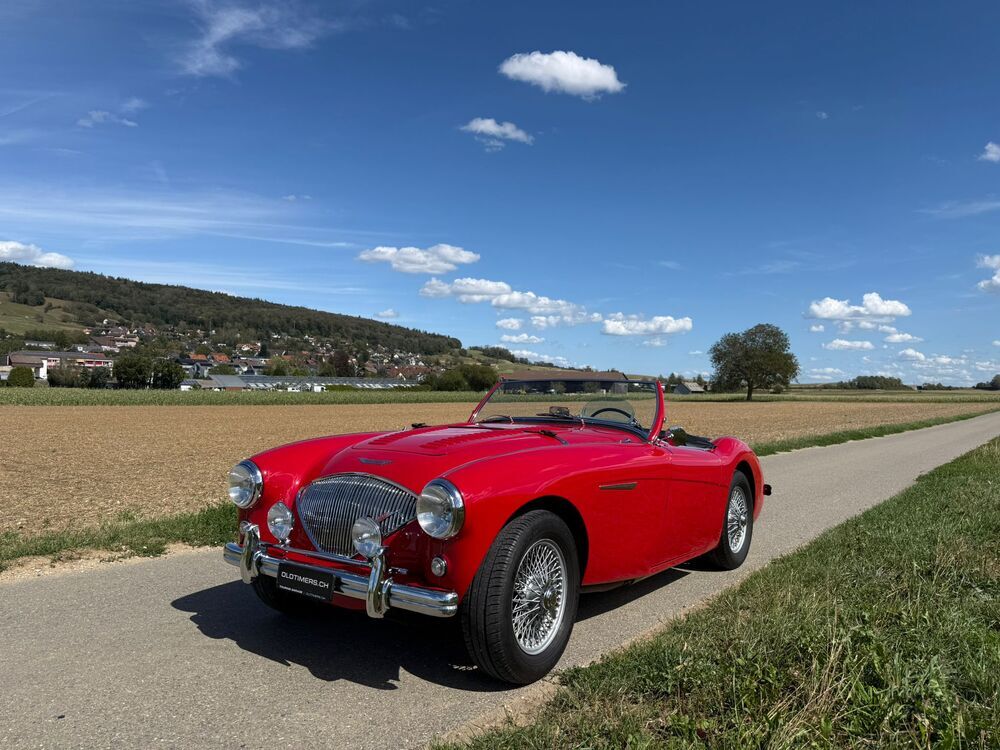 AUSTIN-HEALEY 100/4 BN1 – M-Spezifikation