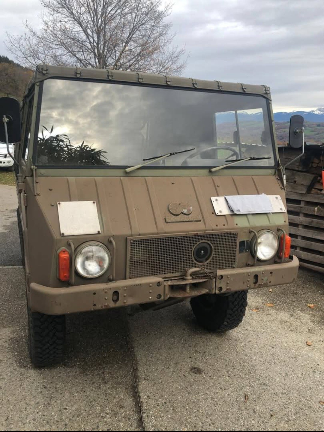 PINZGAUER-image-1