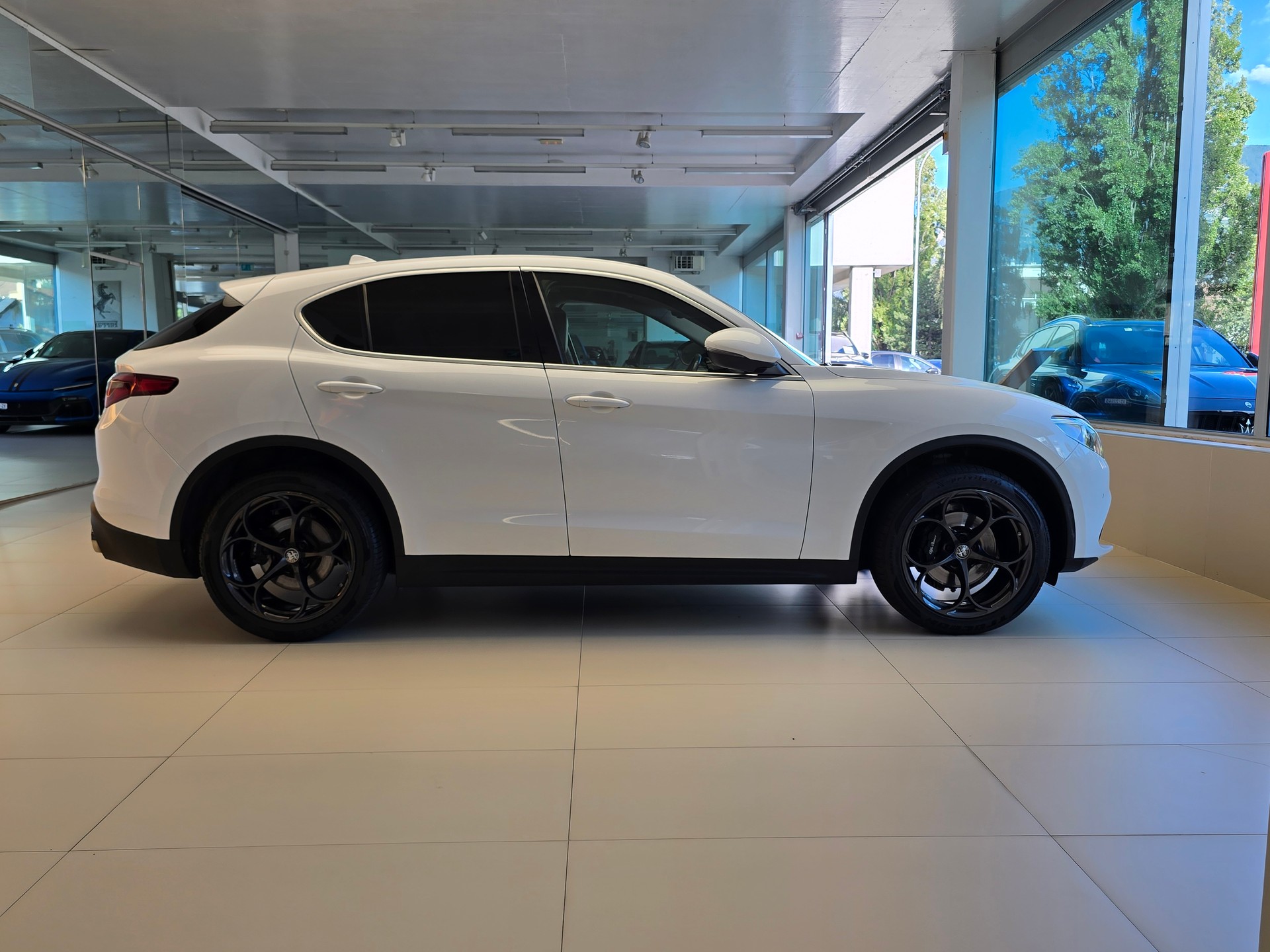 ALFA ROMEO Stelvio 2.0 Executive Q4 Automatic-image-3