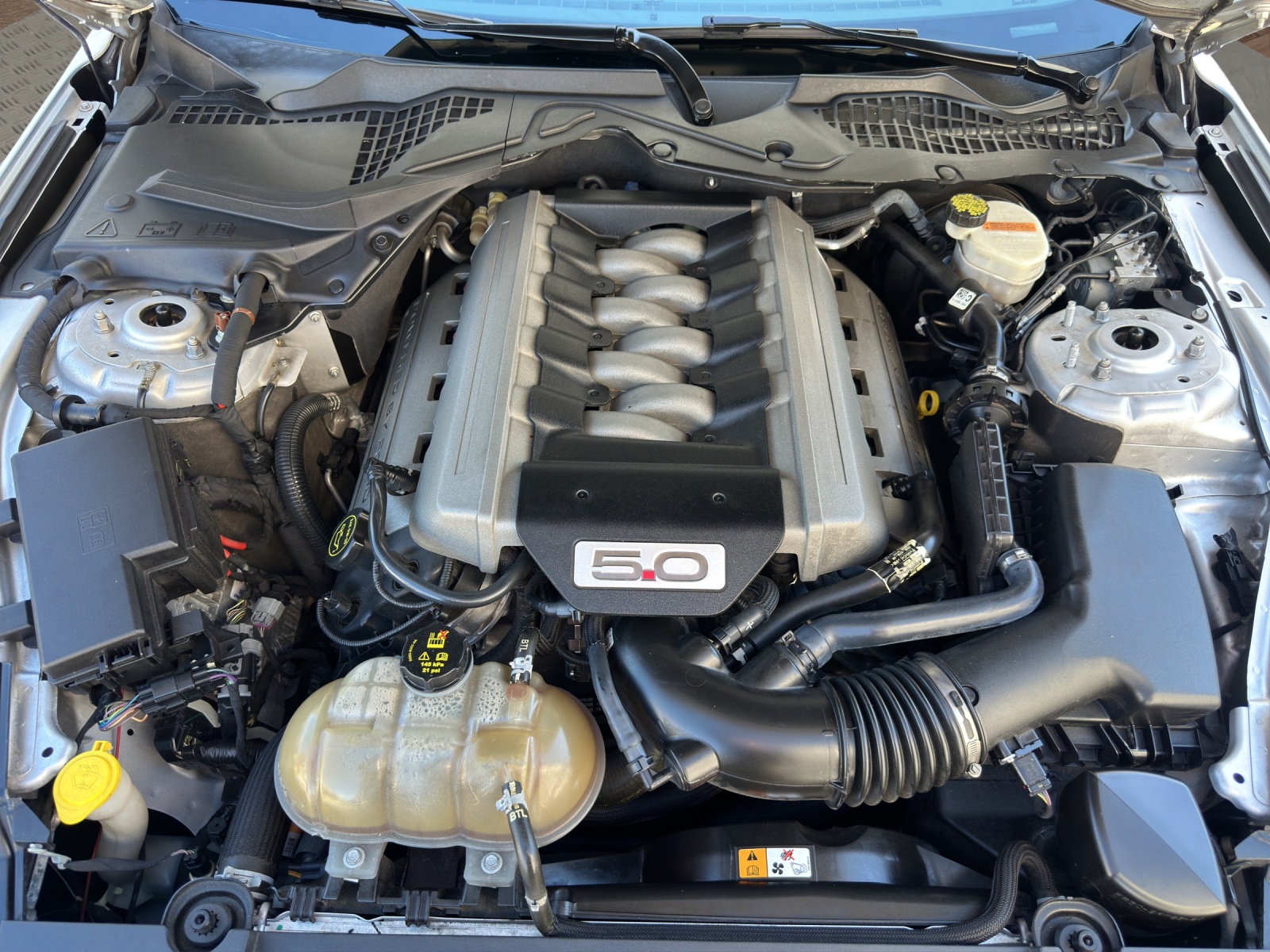 FORD 5.0 V8-image-15