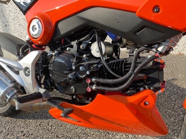 HONDA MSX 125-image-2