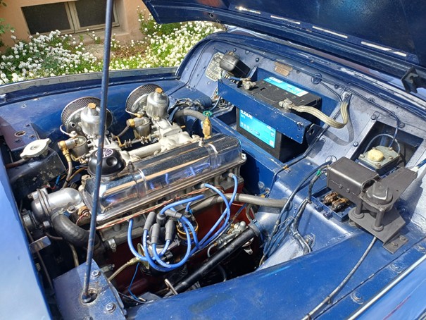 TRIUMPH TR2-image-4