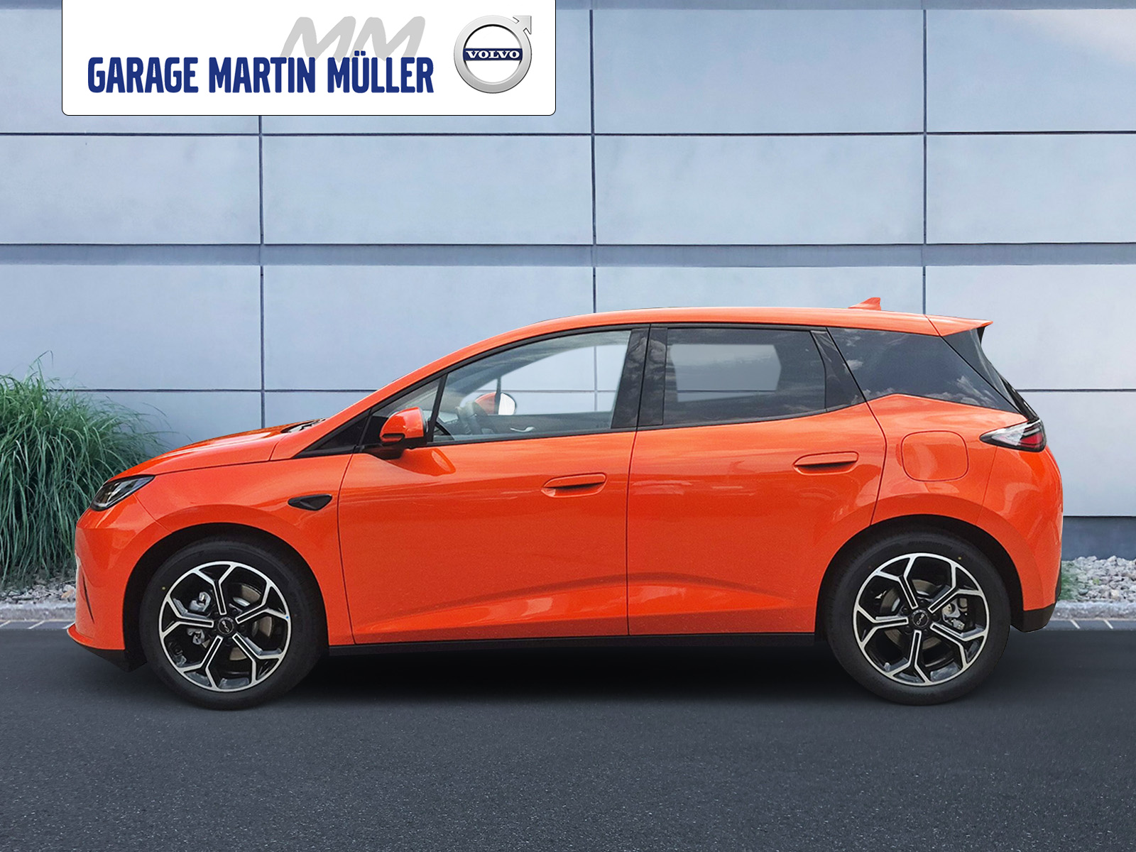 BYD Dolphin G DM-i Comfort-image-1