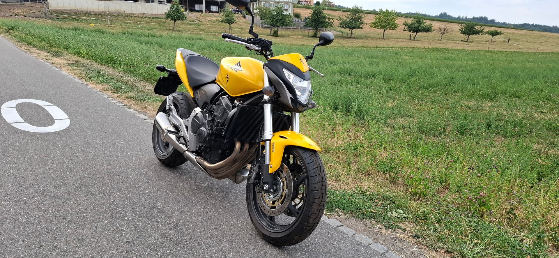 HONDA CB 600 F ABS Hornet