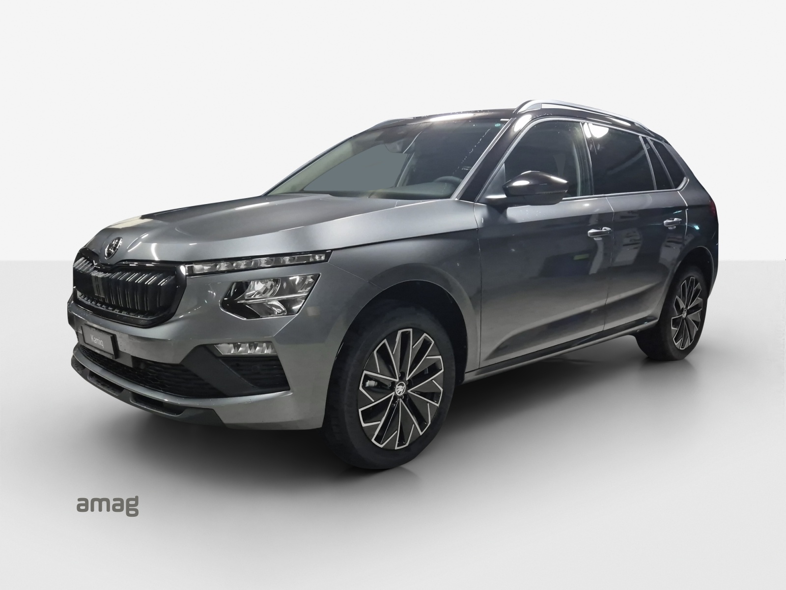 SKODA Kamiq 1.0 TSI Selection DSG-image-0
