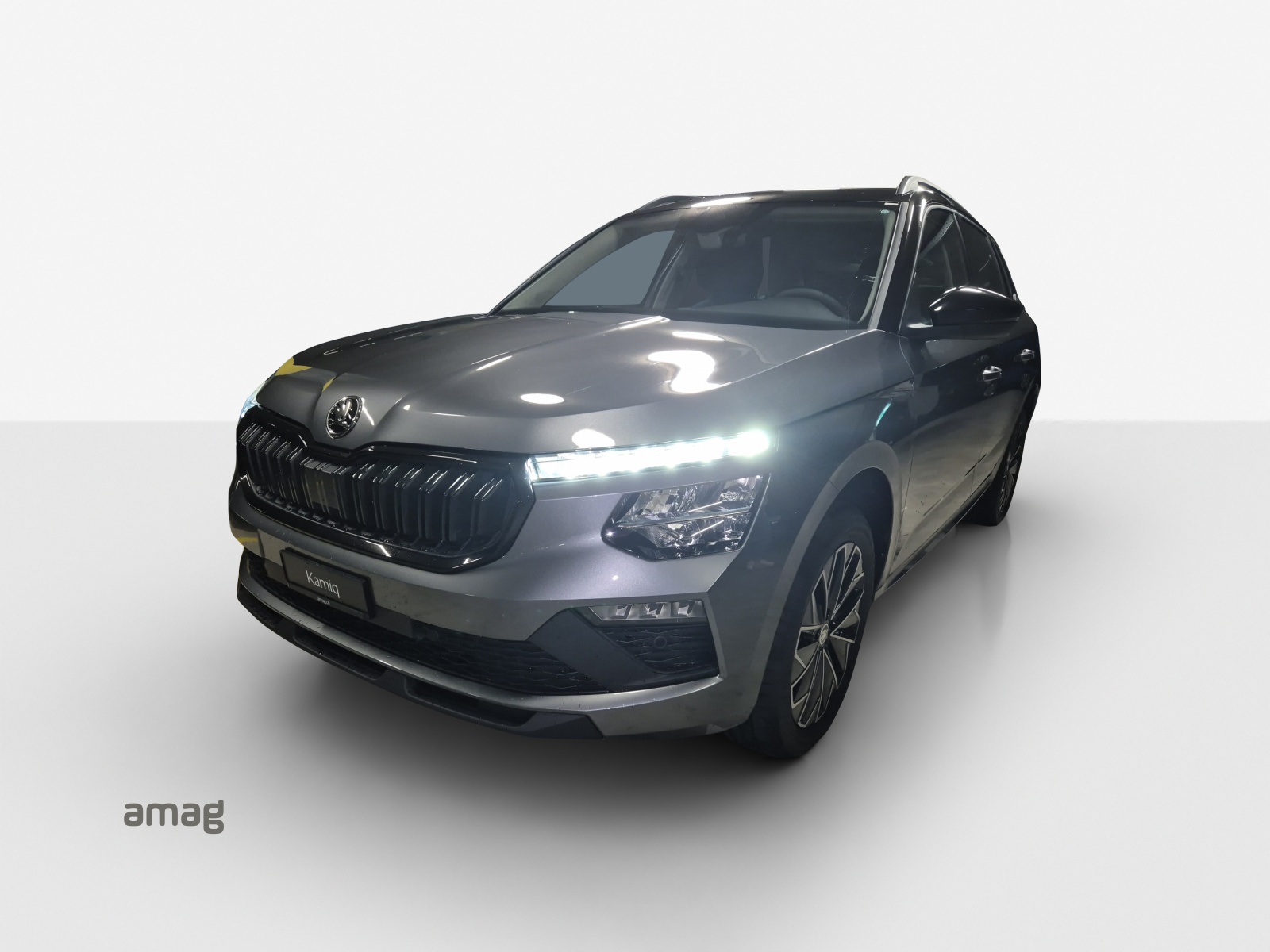 SKODA Kamiq 1.0 TSI Selection DSG-image-14