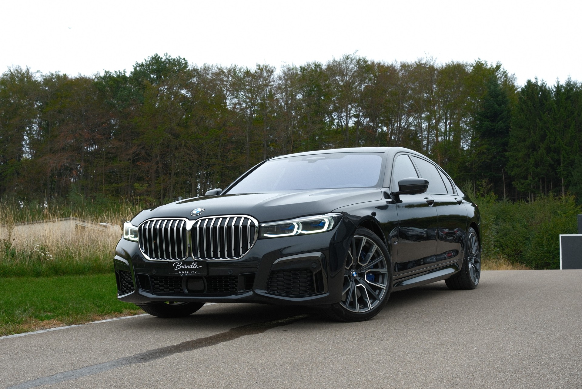 BMW 750Li xDrive Individual-image-15