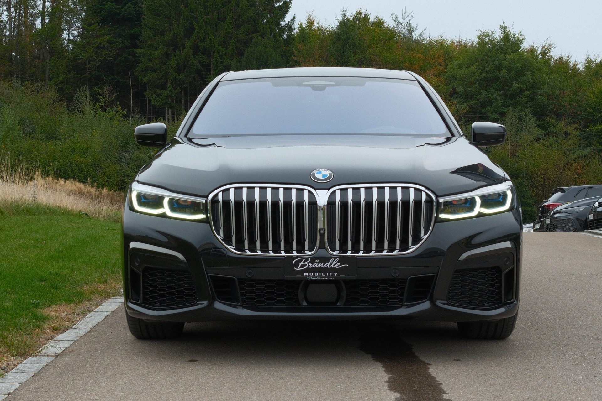 BMW 750Li xDrive Individual-image-2