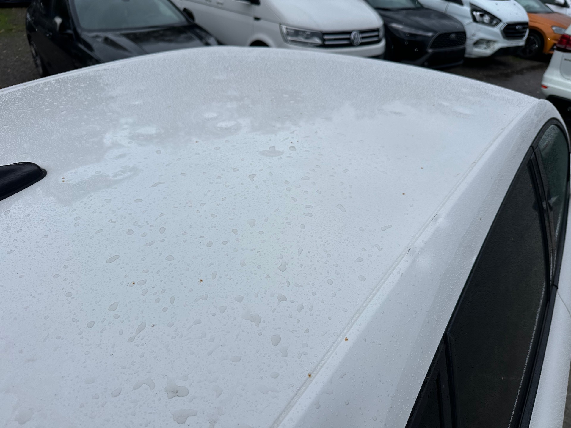 SEAT Ibiza 1.5 TSI EVO Swiss FR-image-13